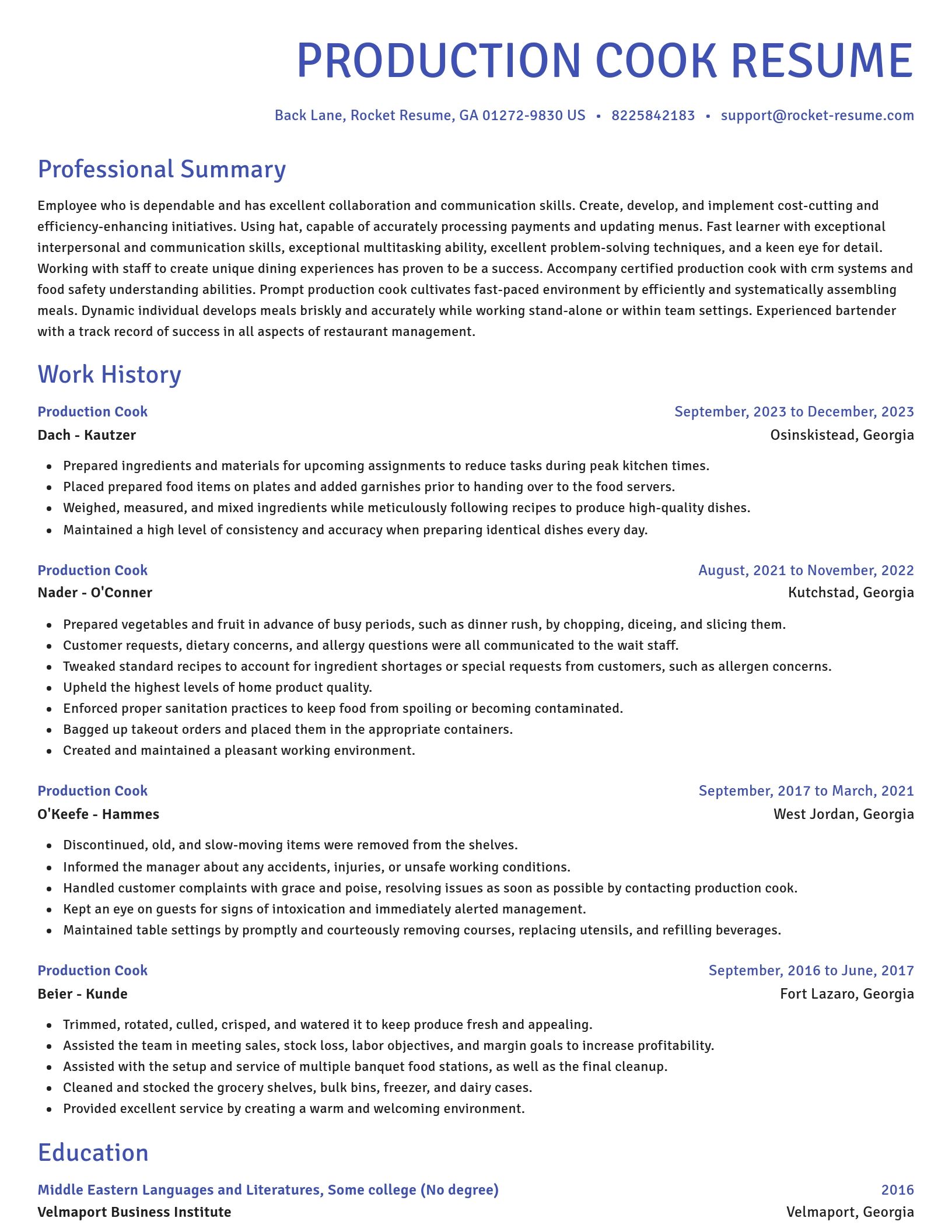 Novel resume template