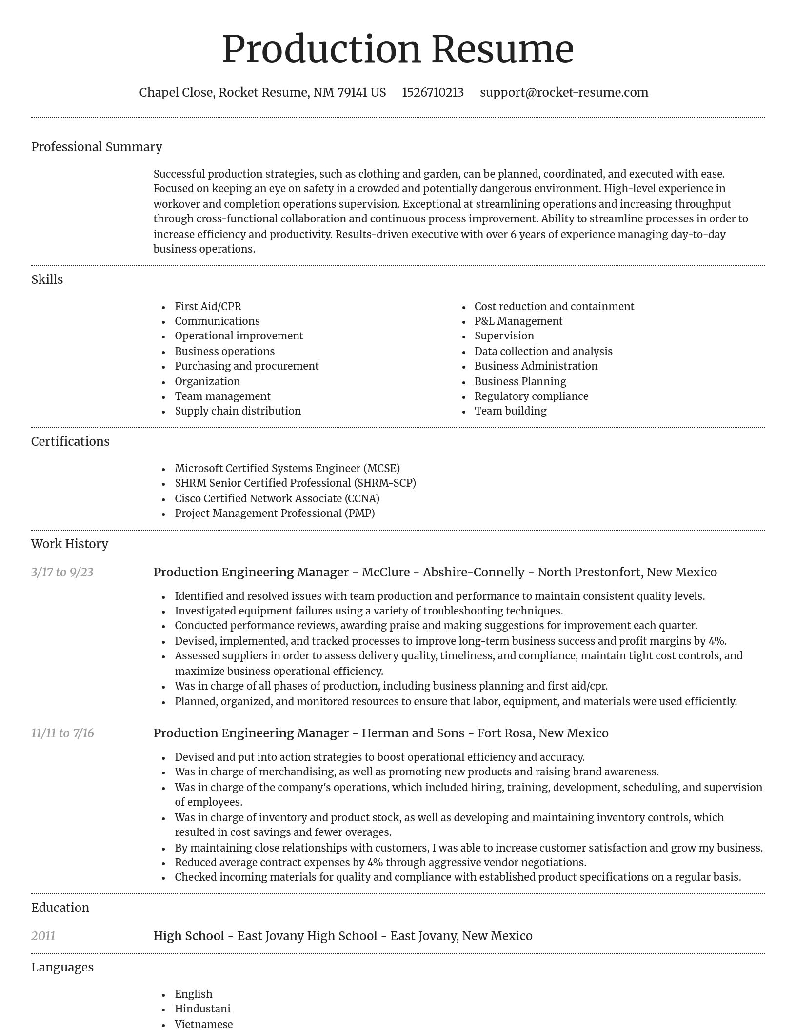 Dignified resume template