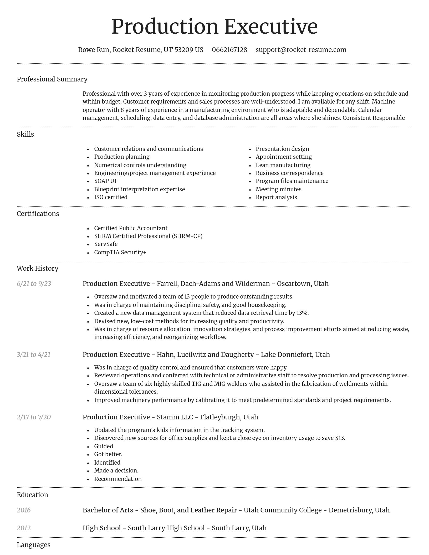 Dignified resume template