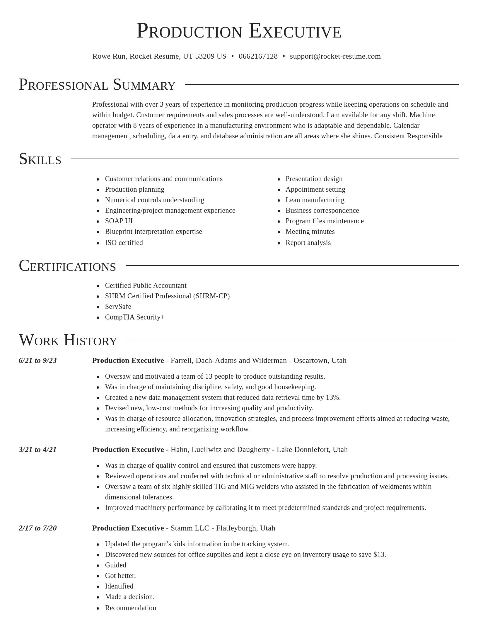 Director resume template