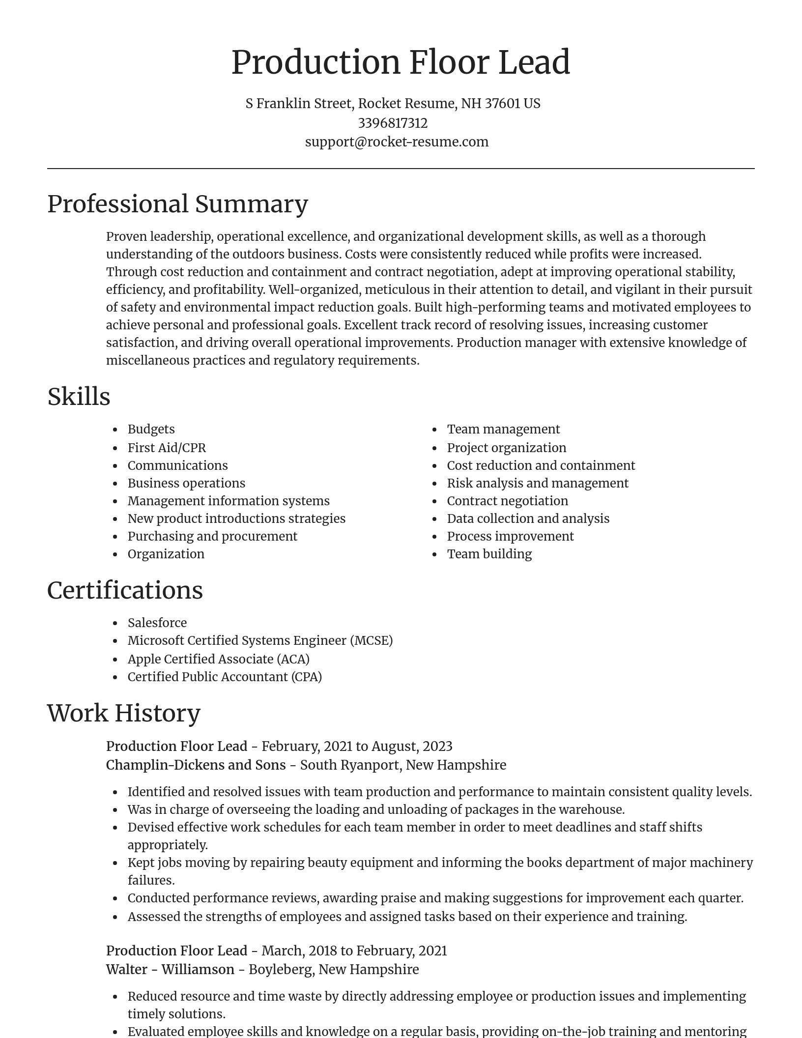Focal Point resume template