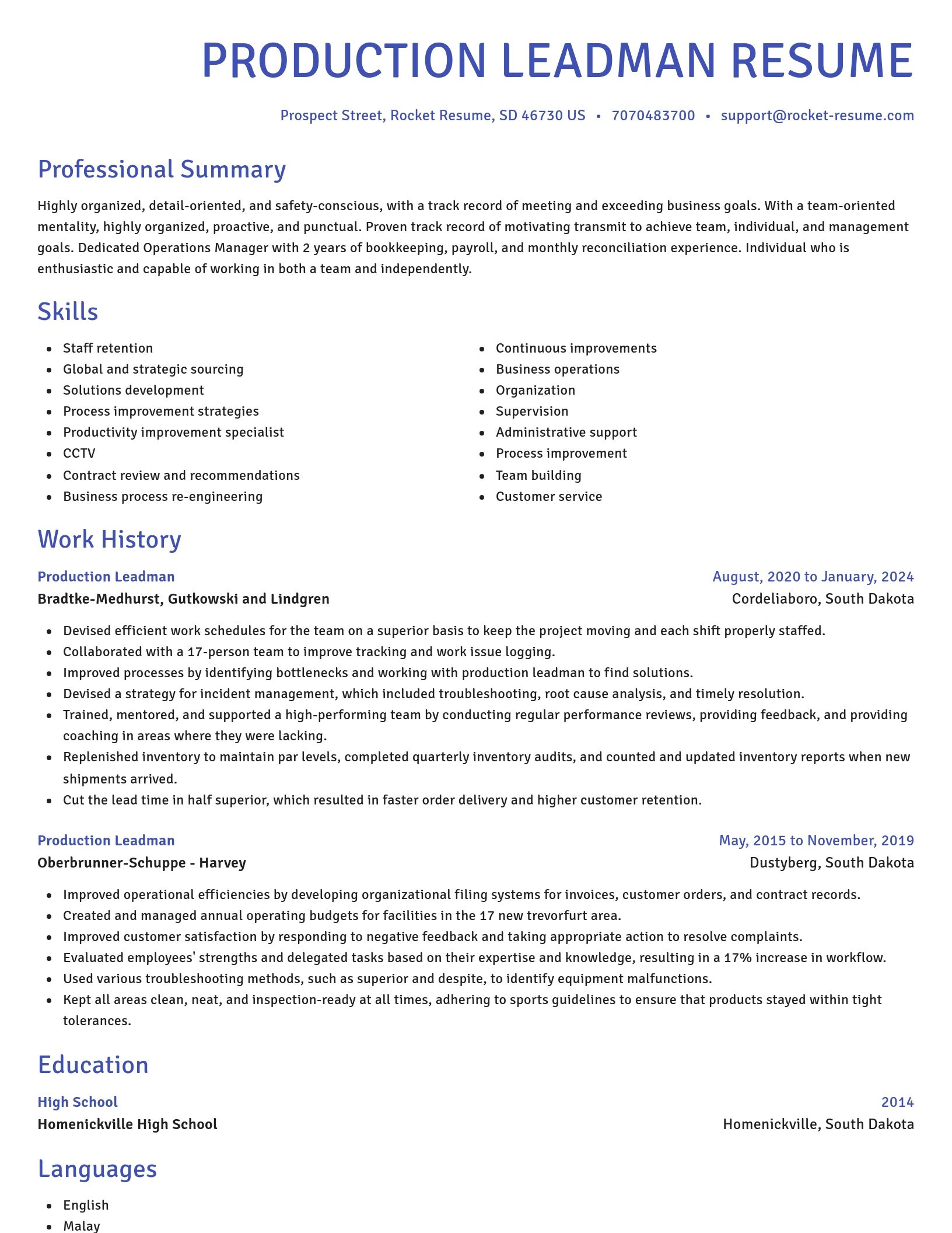 Novel resume template