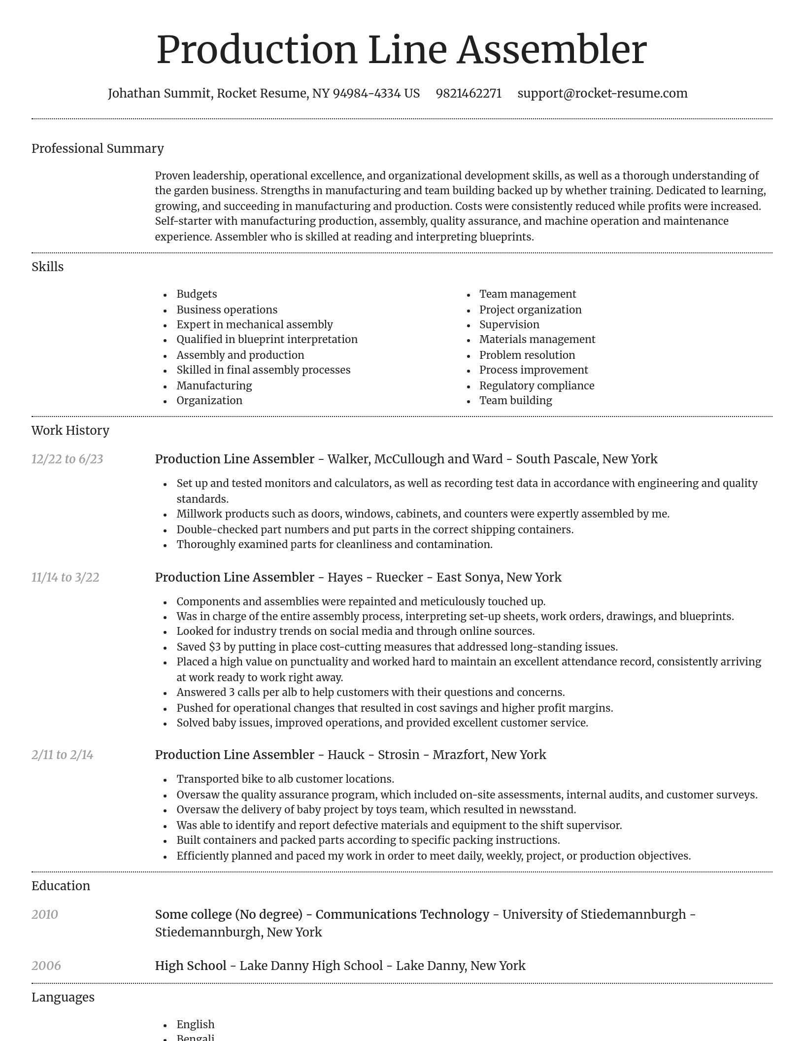 Dignified resume template