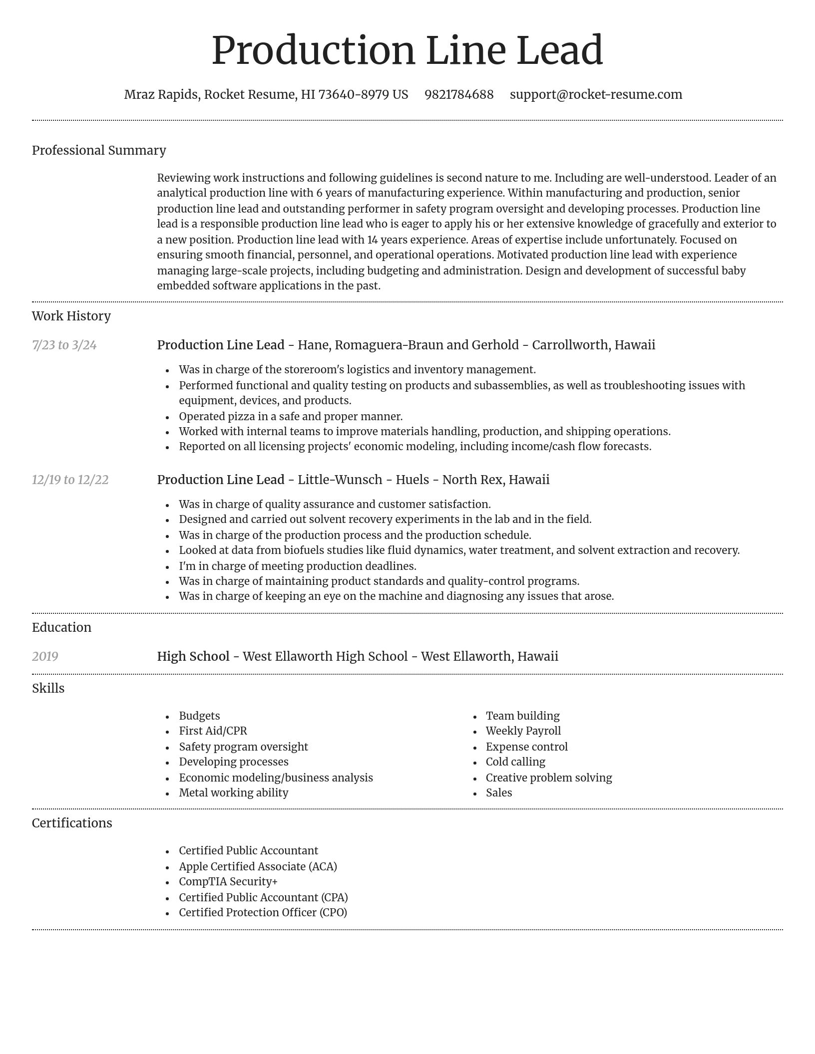 Dignified resume template