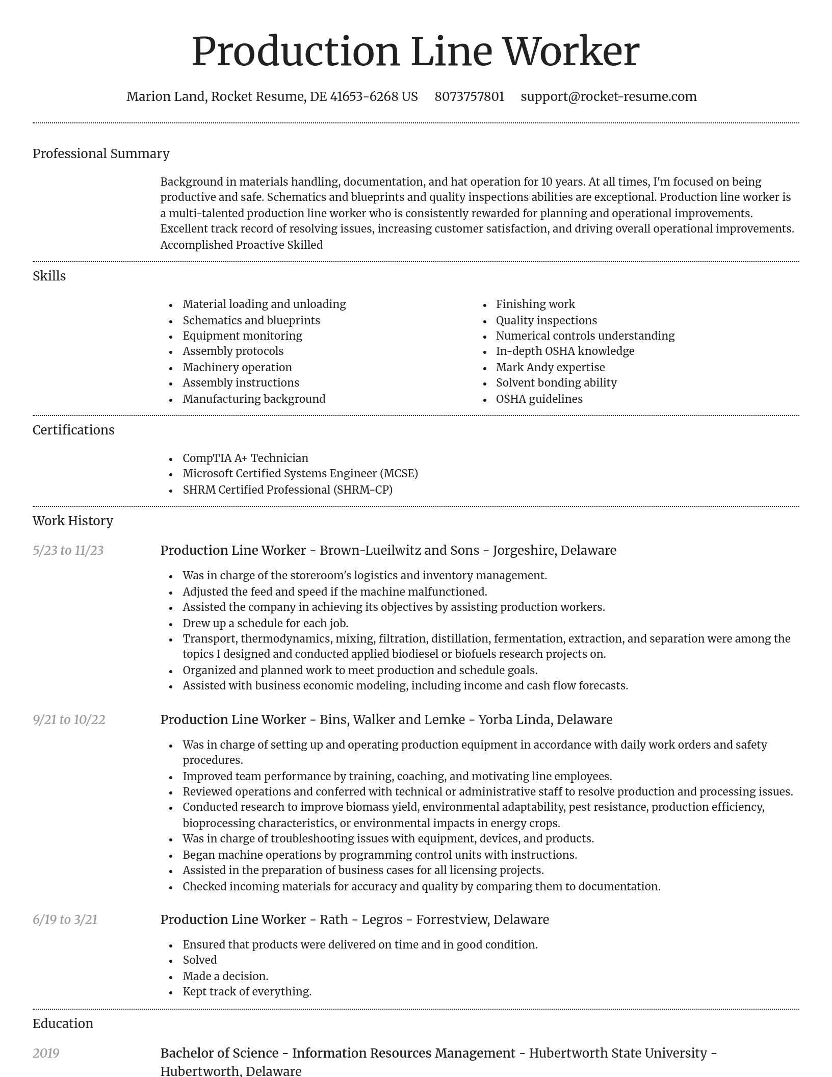 Dignified resume template