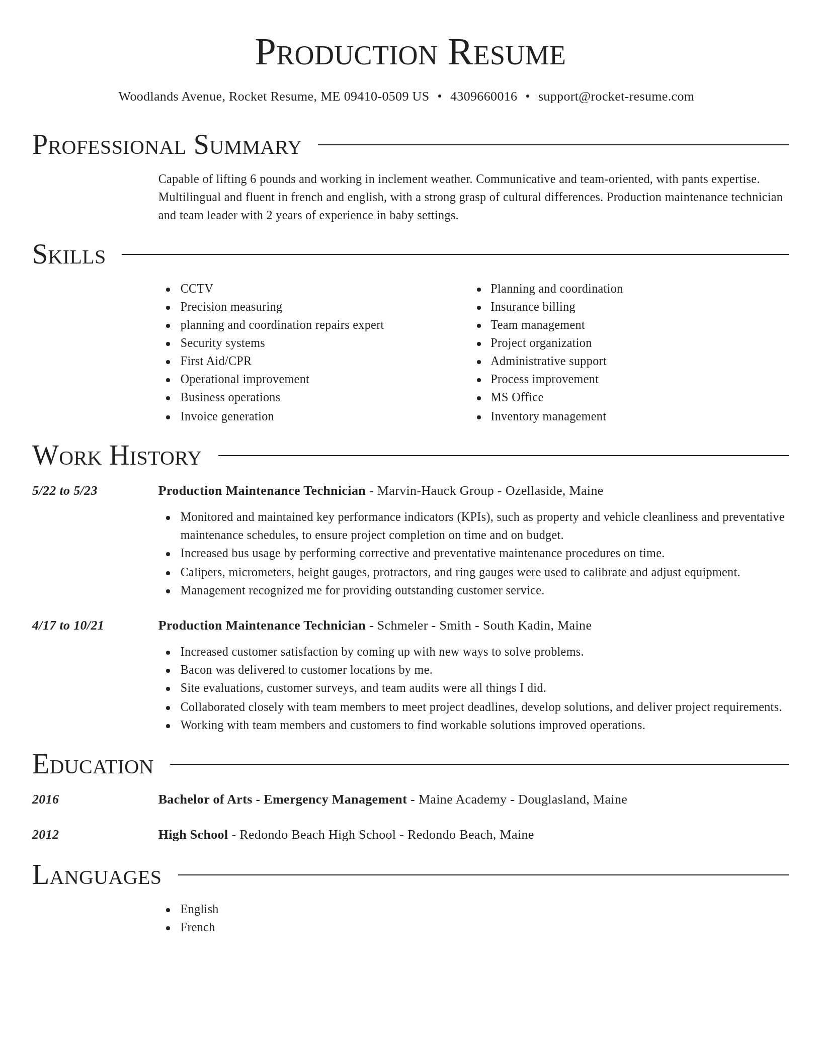 Director resume template