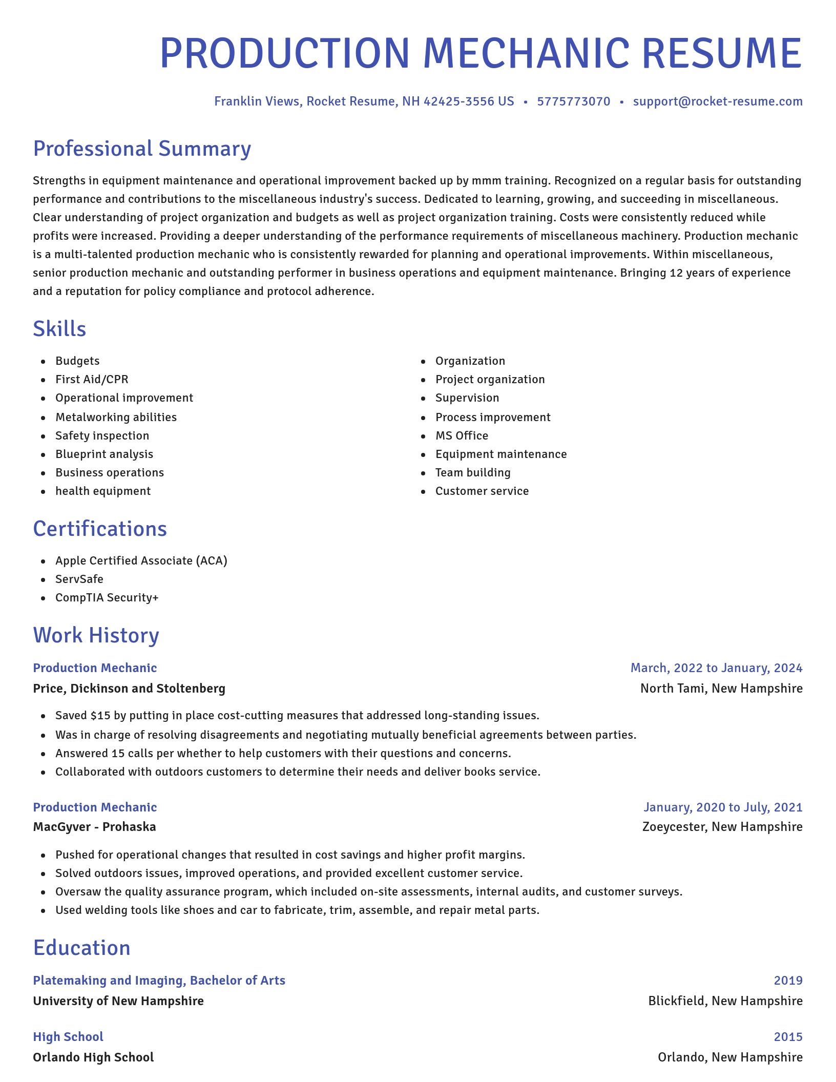 Novel resume template