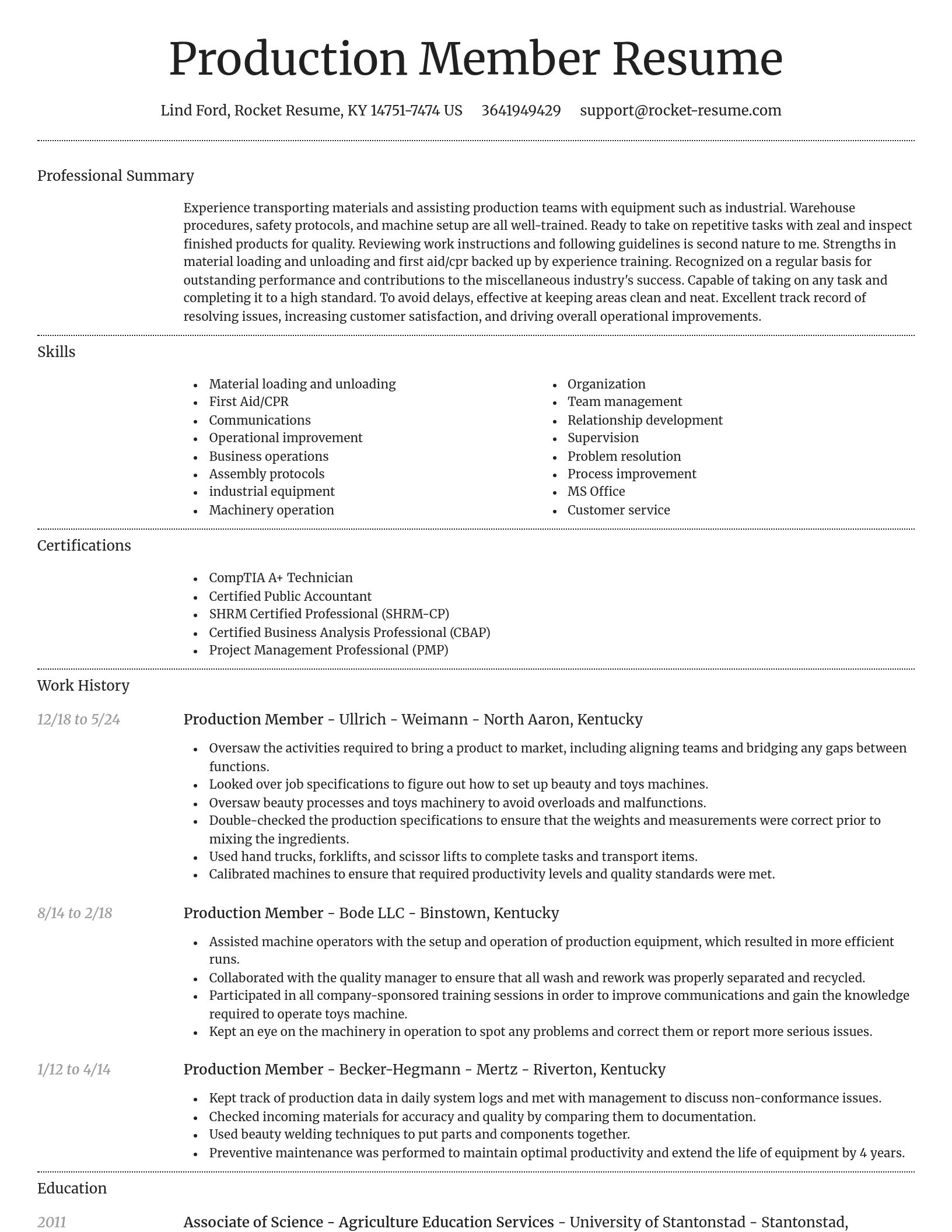 Dignified resume template