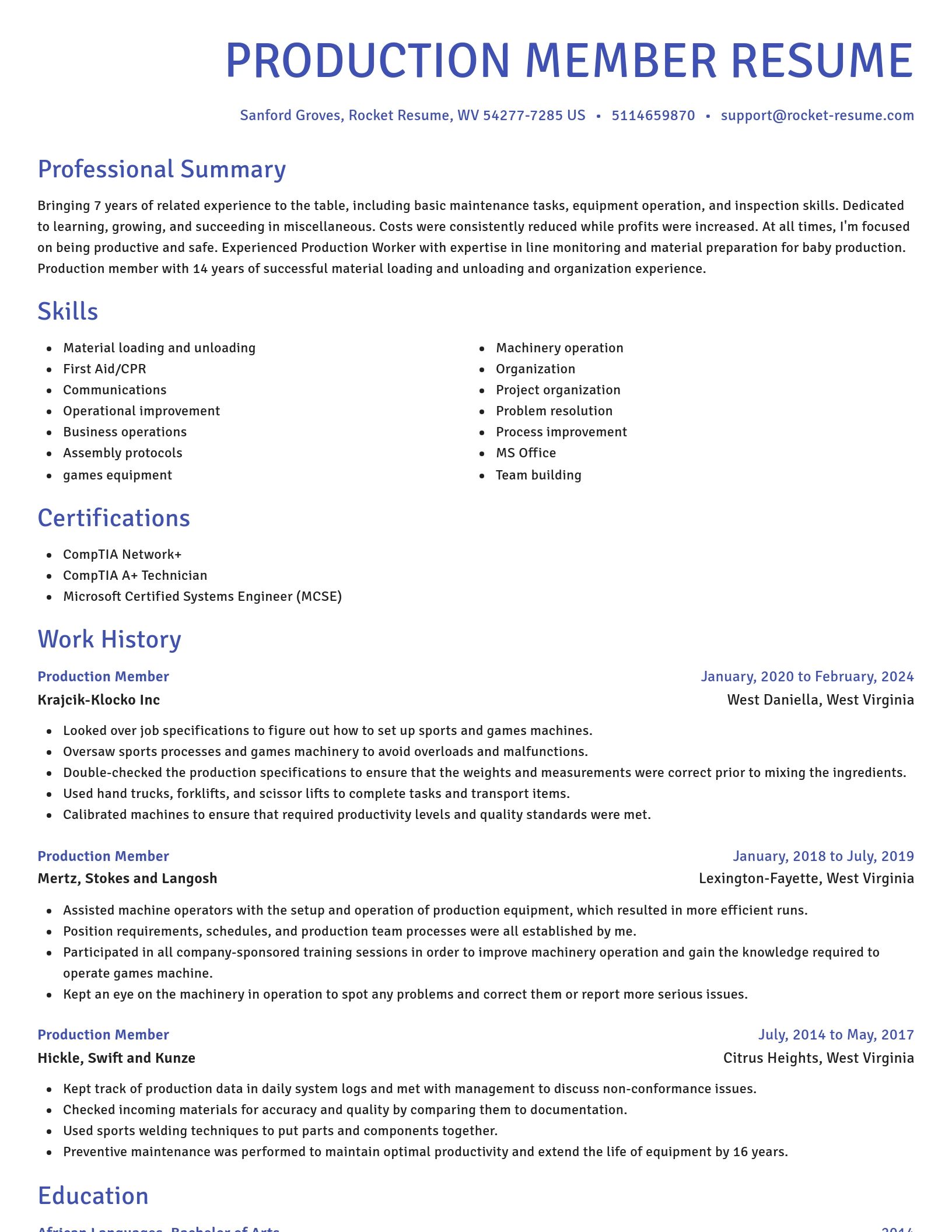 Novel resume template