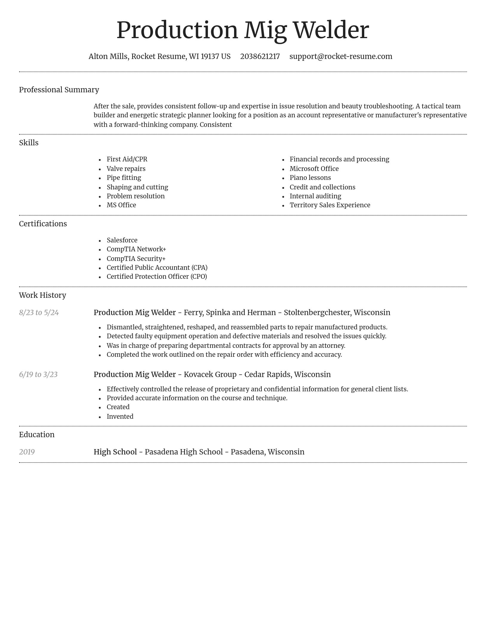 Dignified resume template