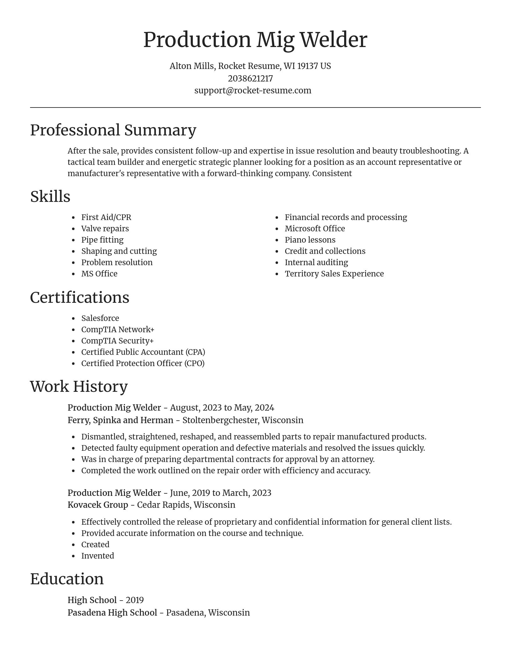 Focal Point resume template