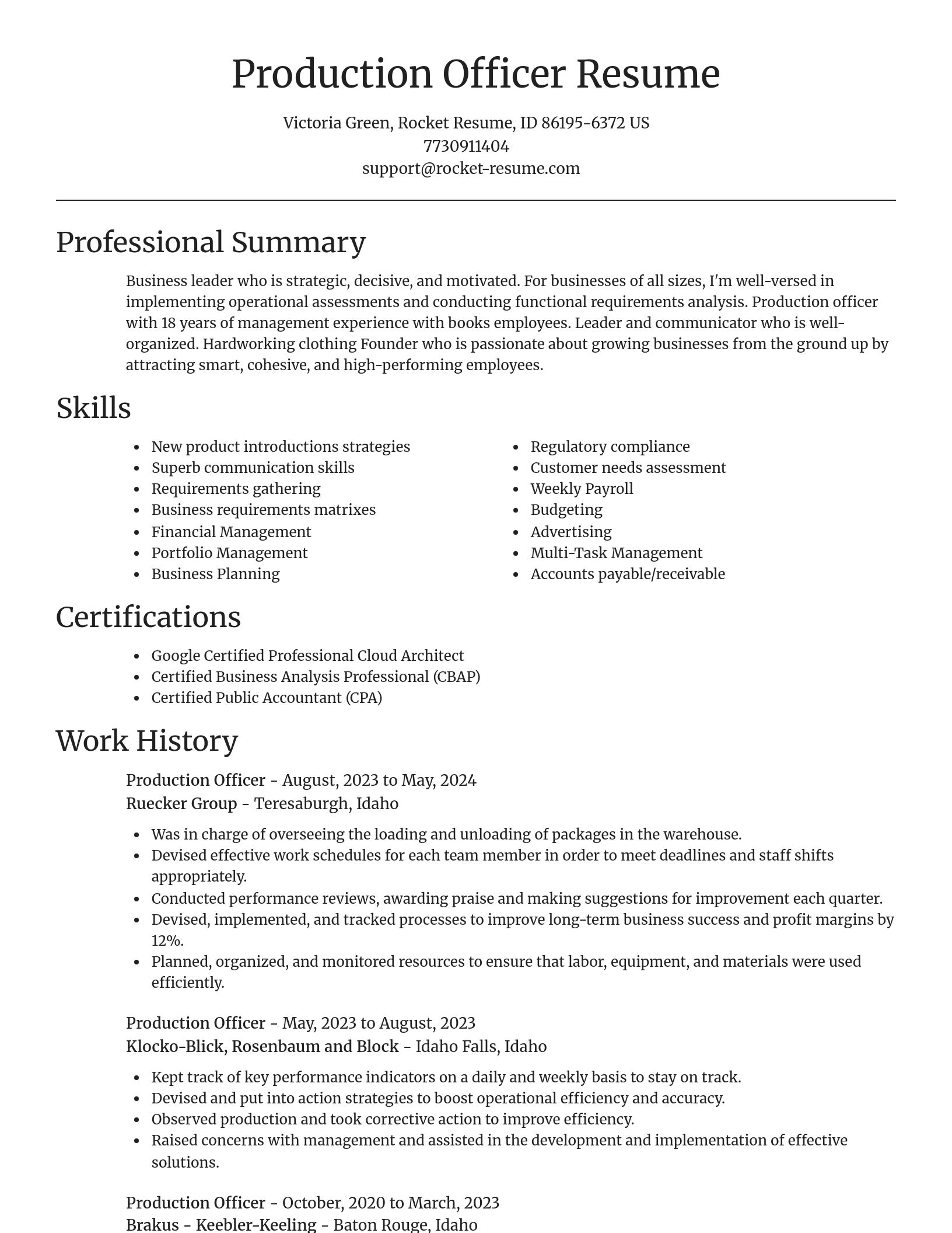Focal Point resume template