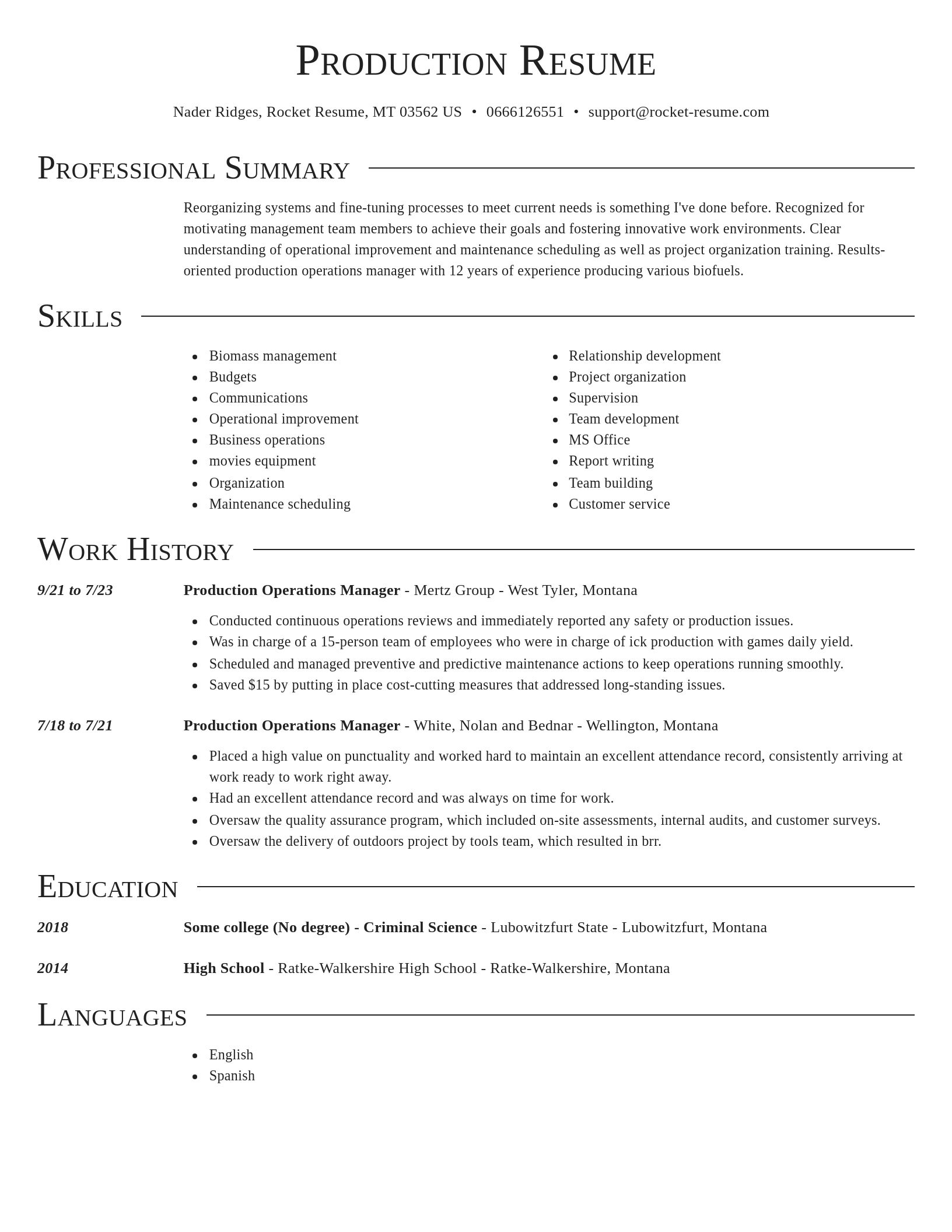 Director resume template