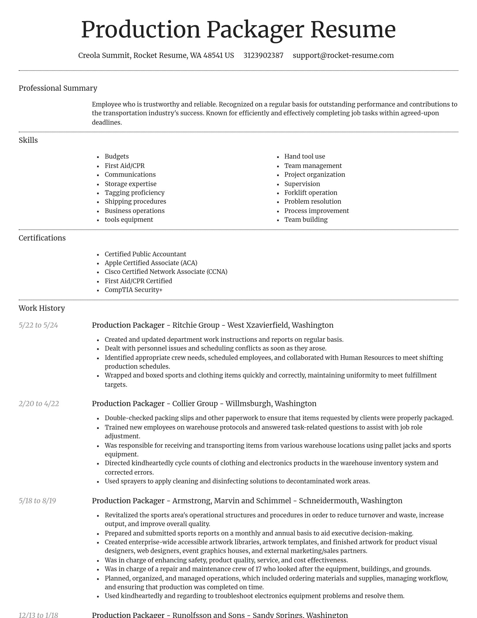 Dignified resume template