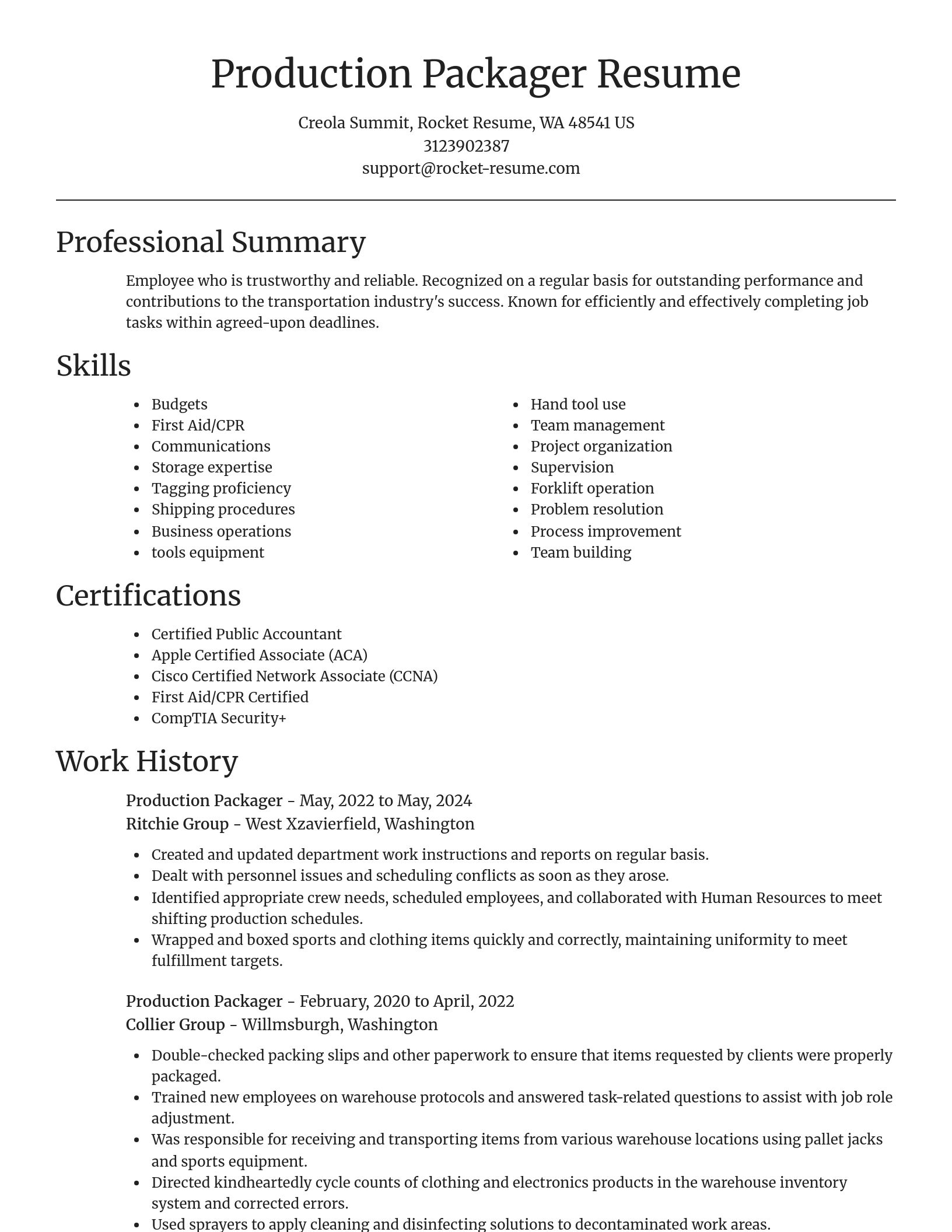 Focal Point resume template