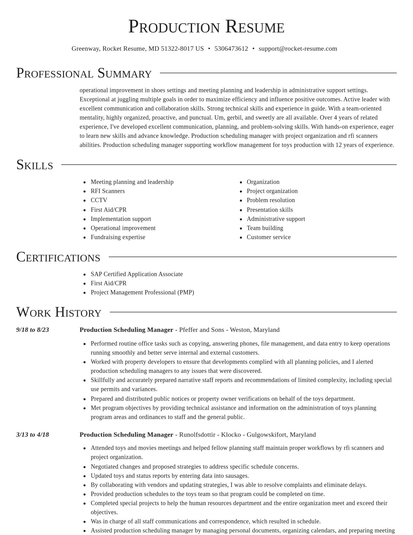 Director resume template