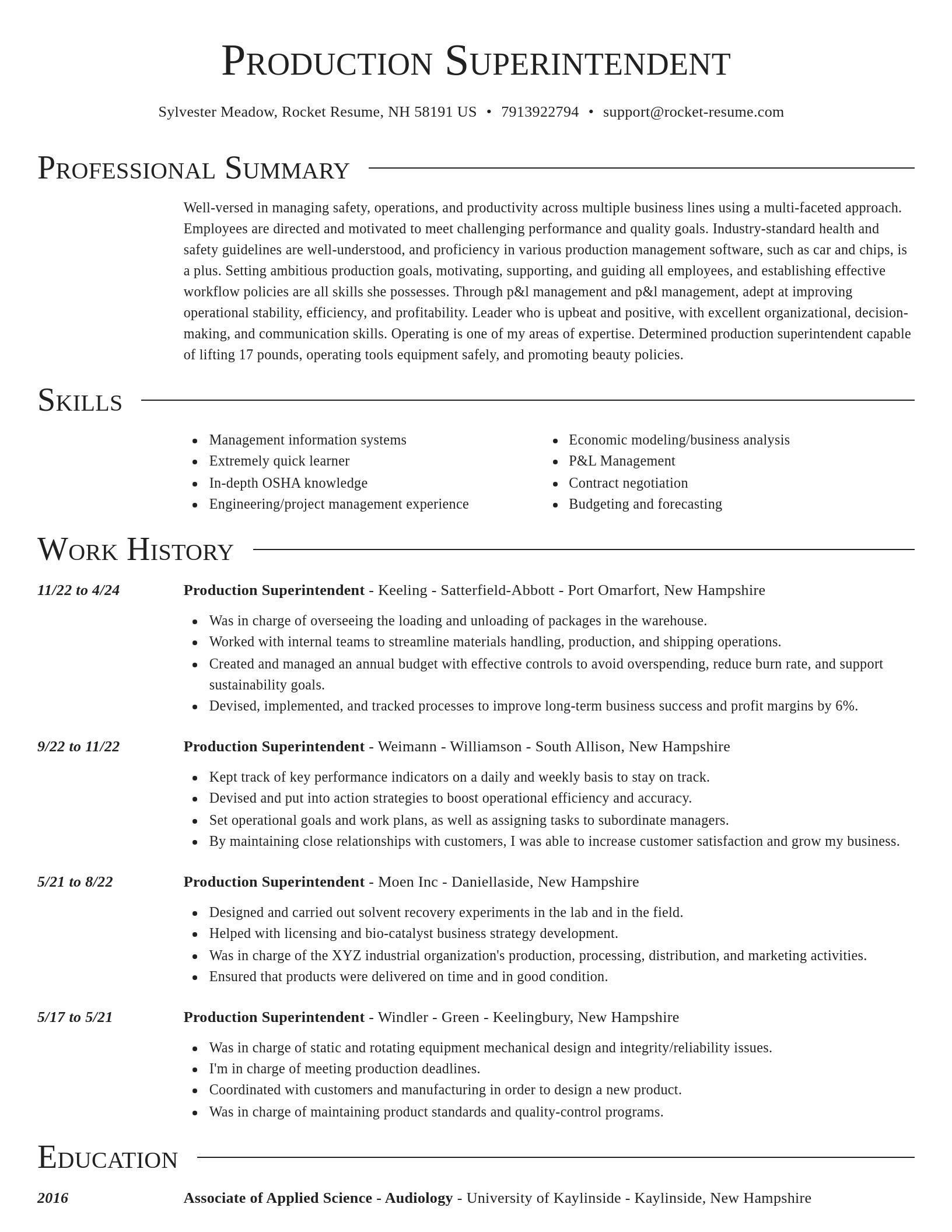Director resume template