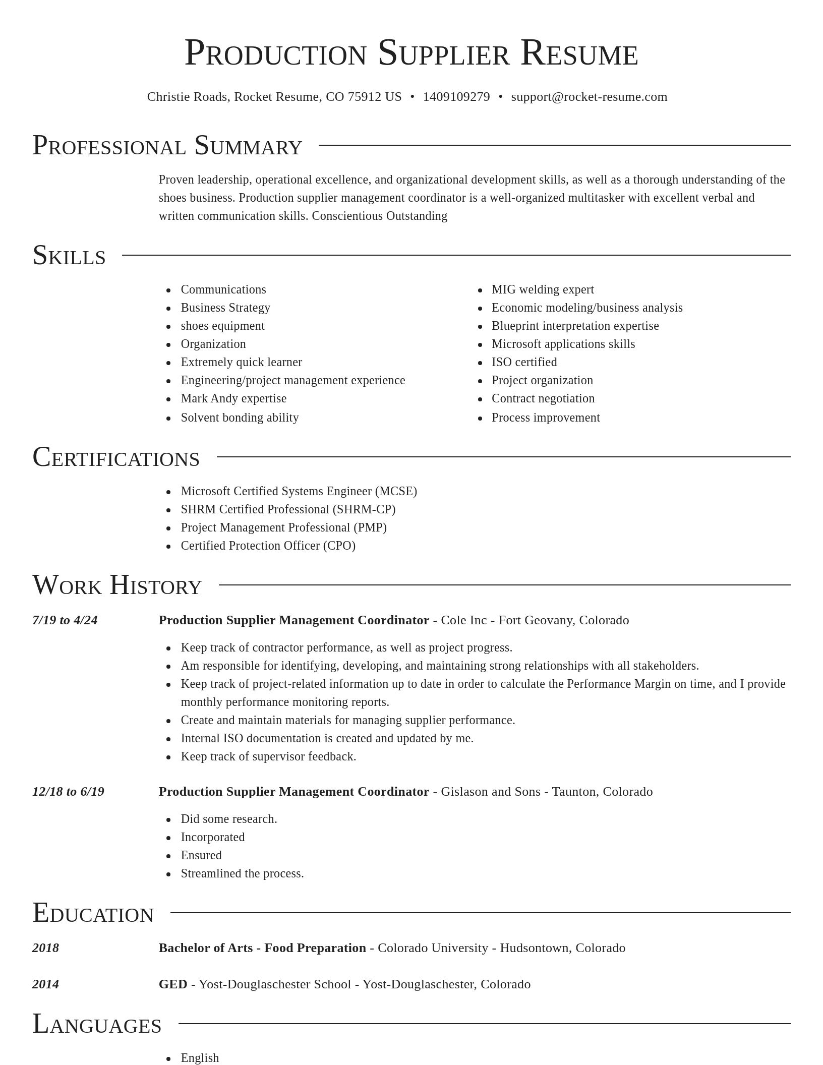 Director resume template