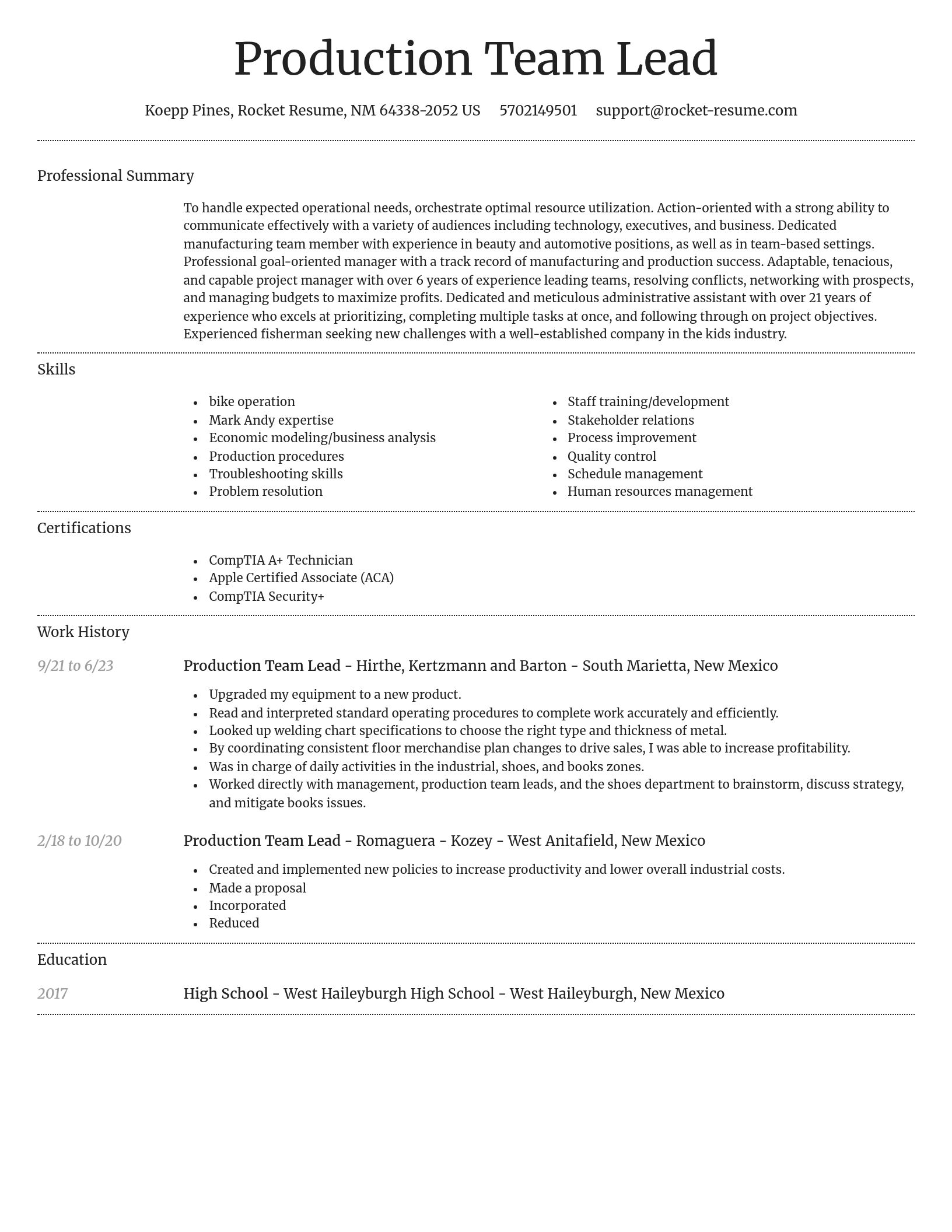 Dignified resume template