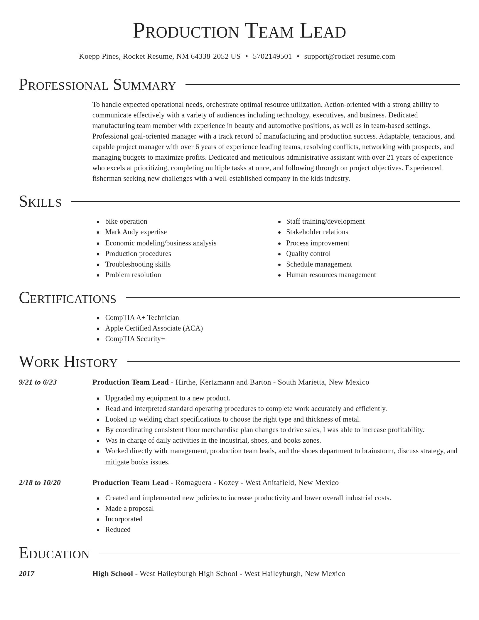 Director resume template