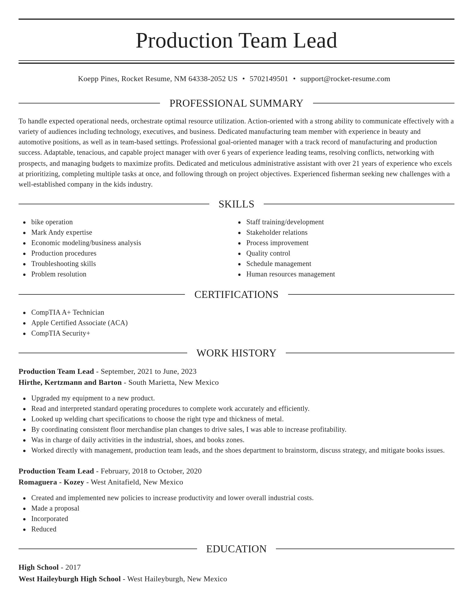 Elegant resume template