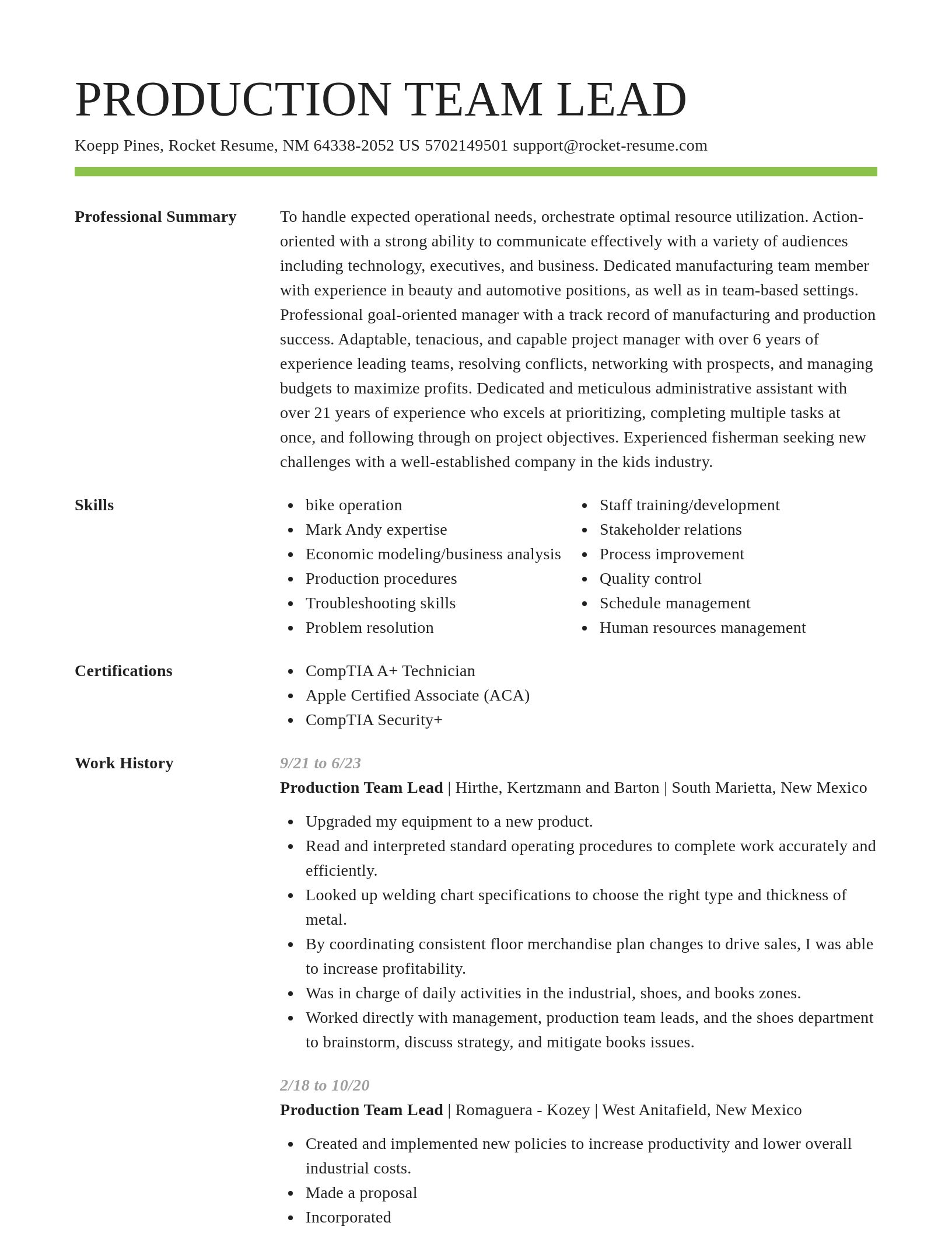 Smart resume template