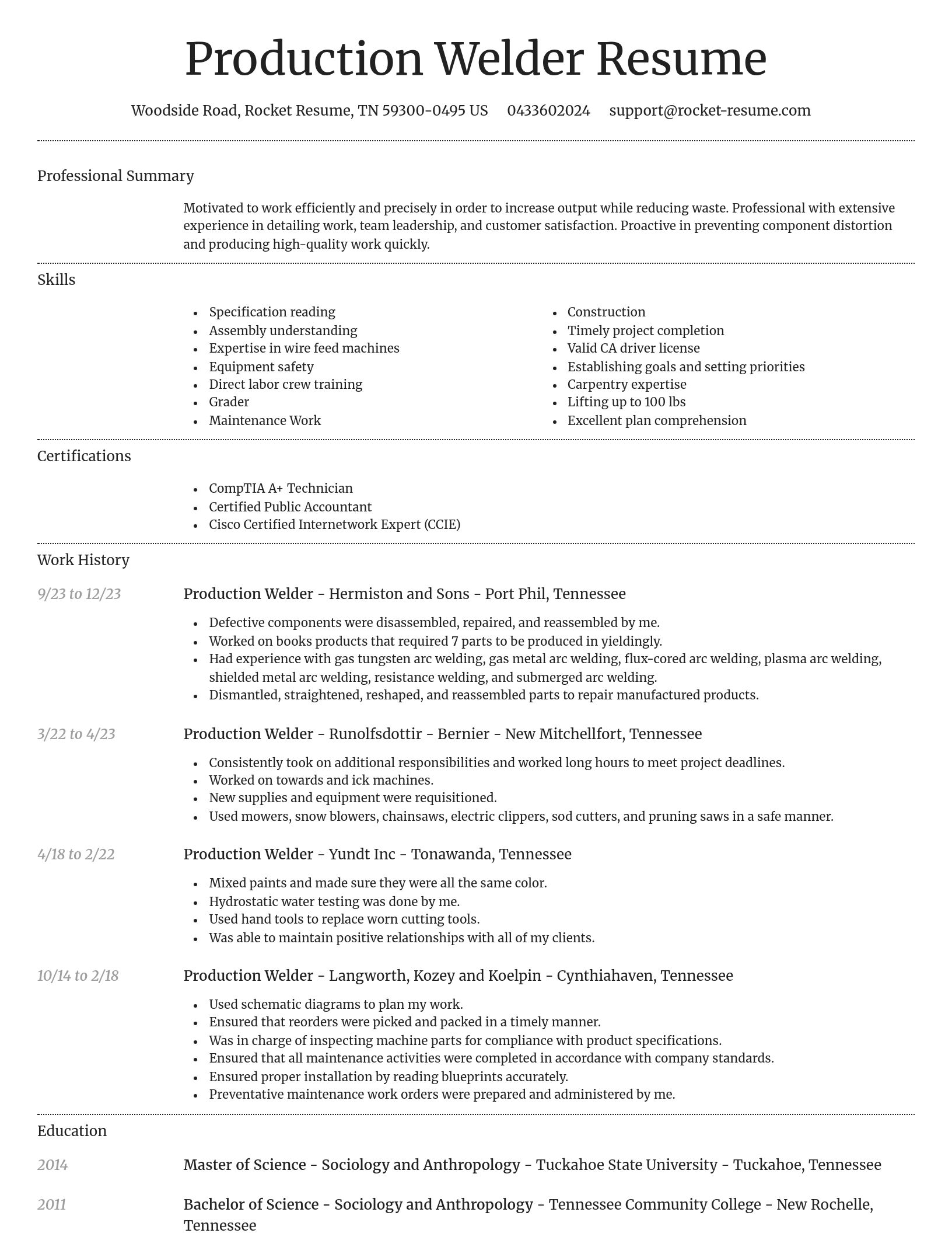 Dignified resume template
