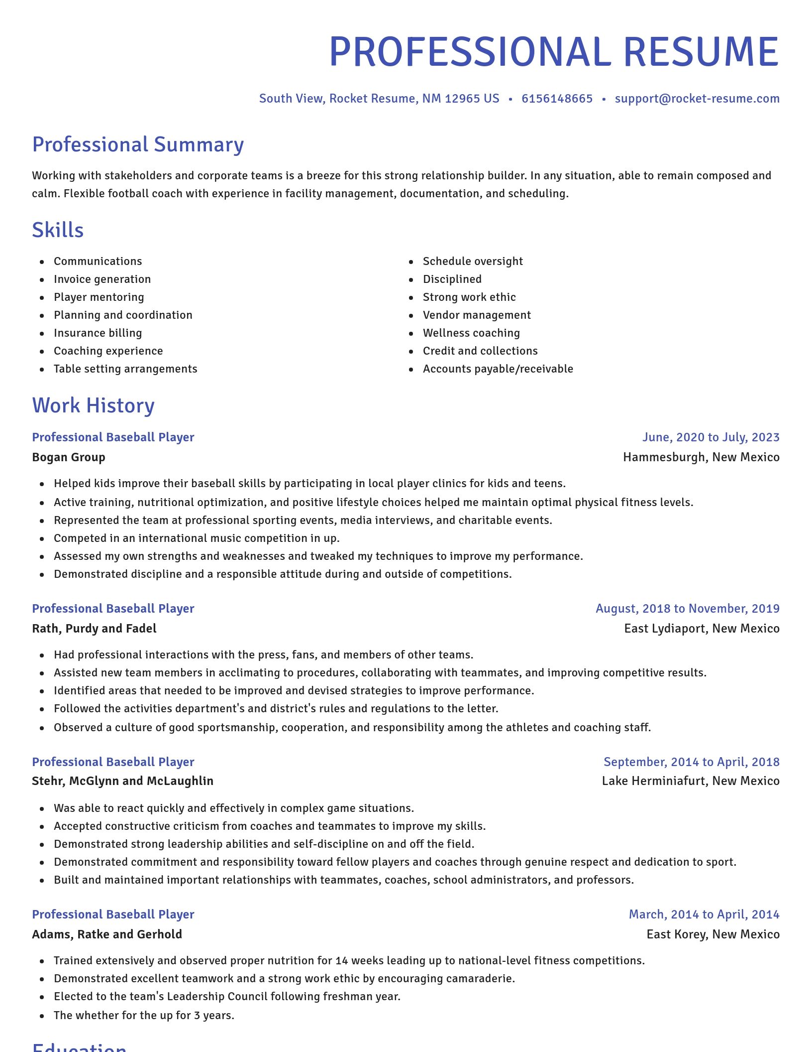 Novel resume template