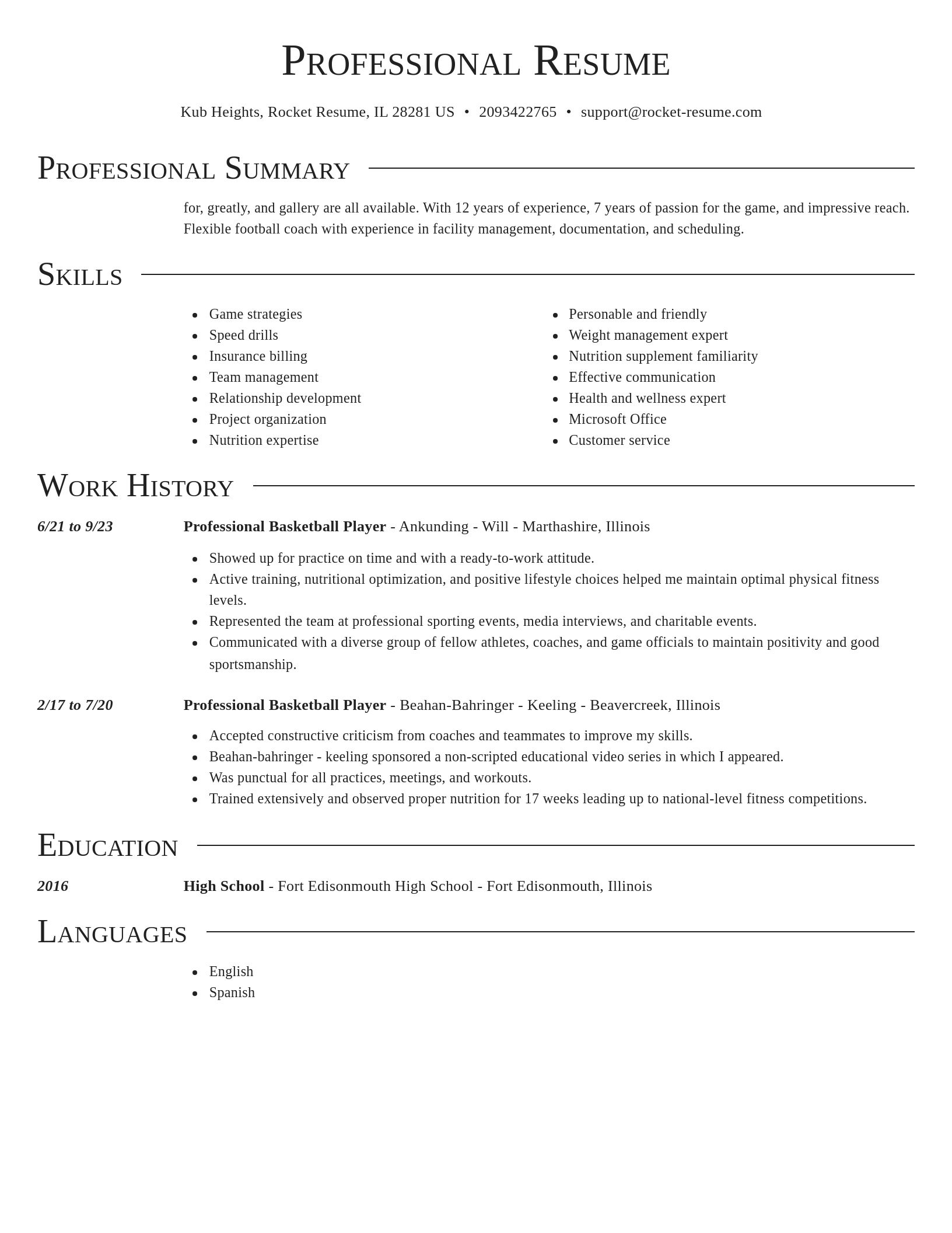 Director resume template