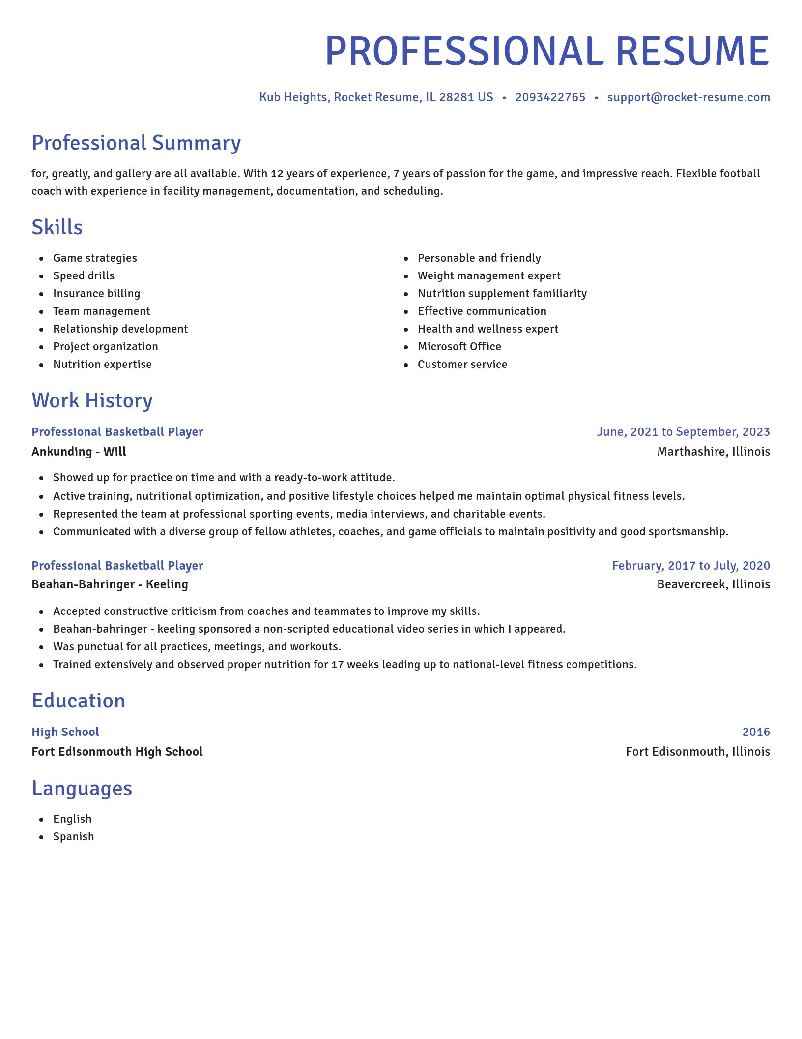 Novel resume template