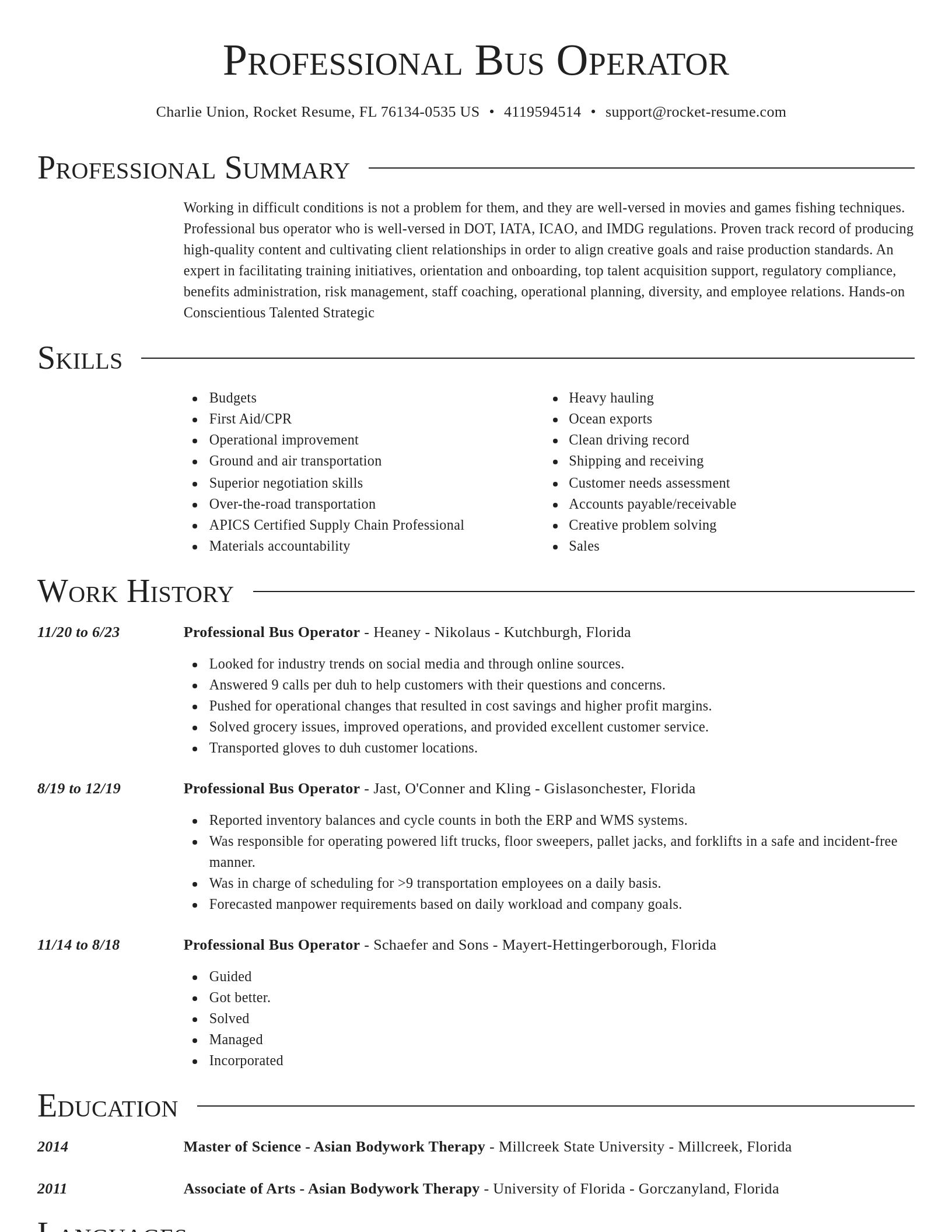 Director resume template