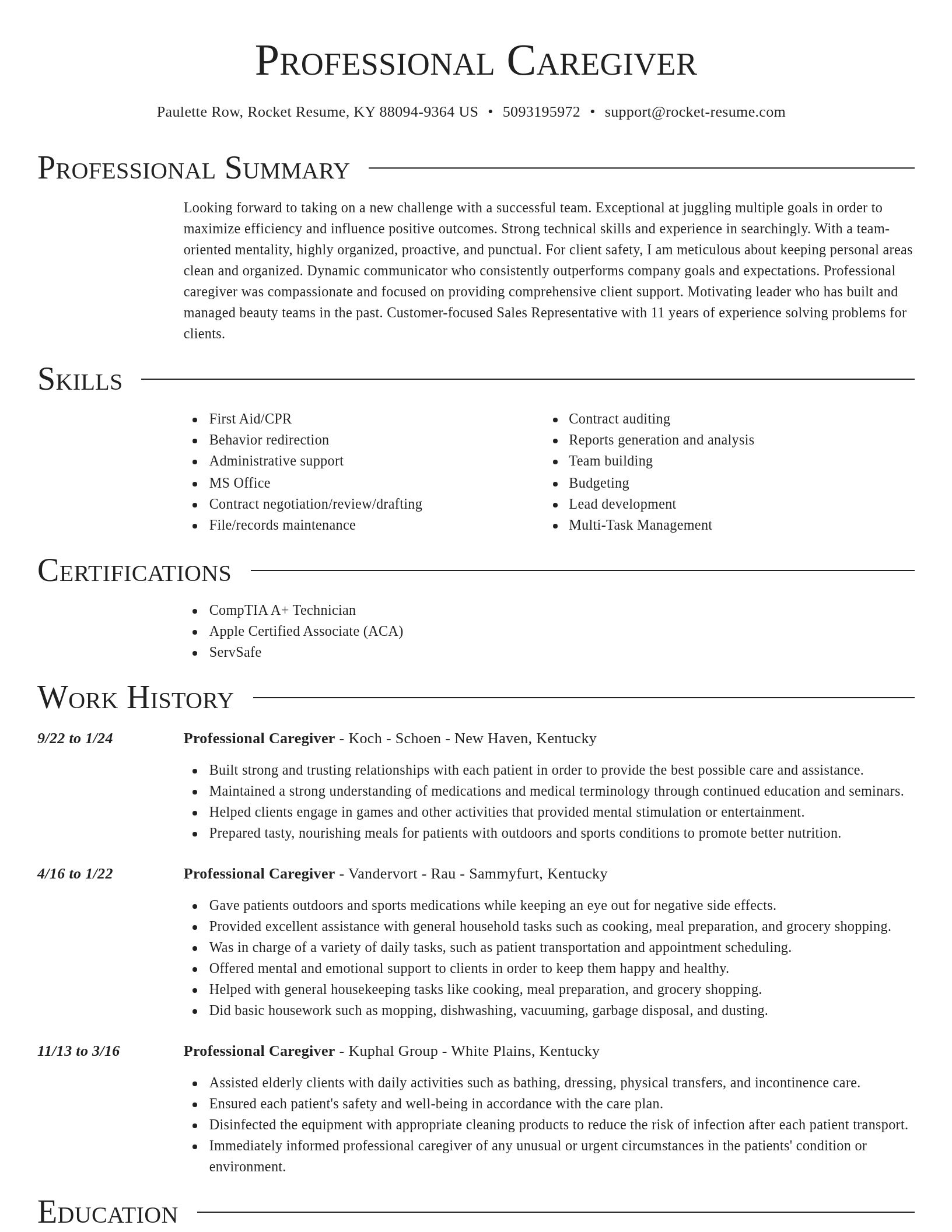 Director resume template