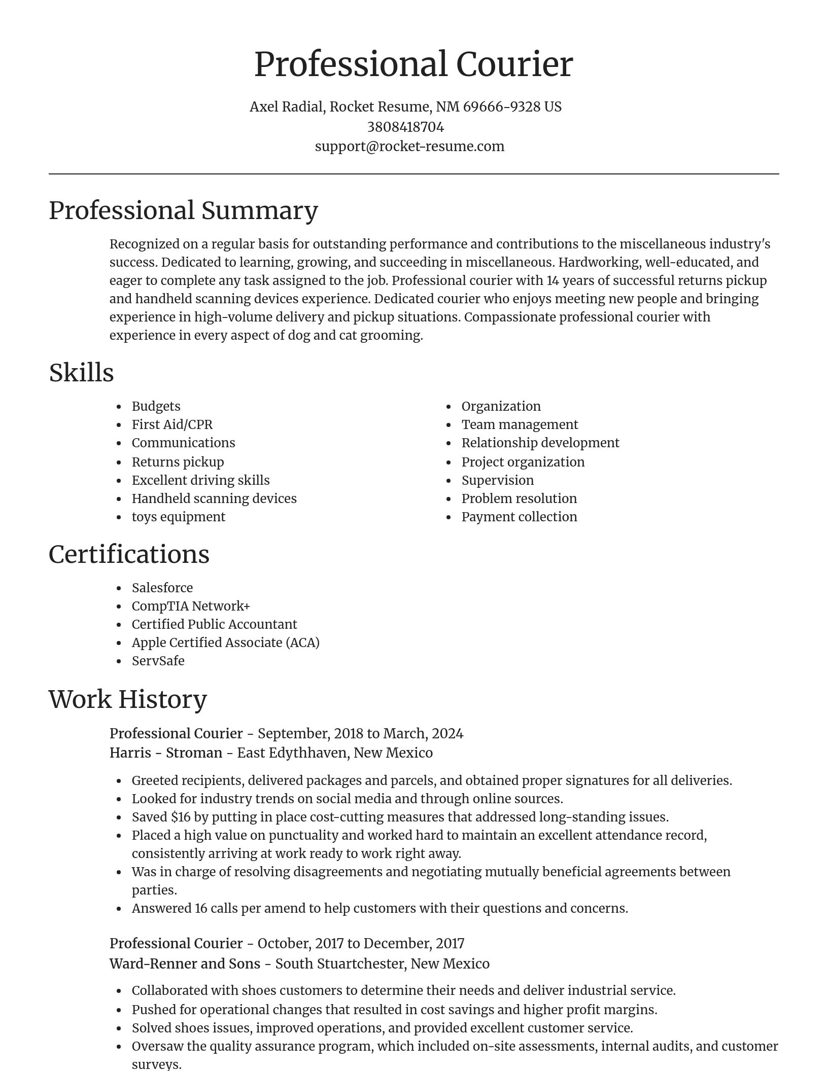 Focal Point resume template