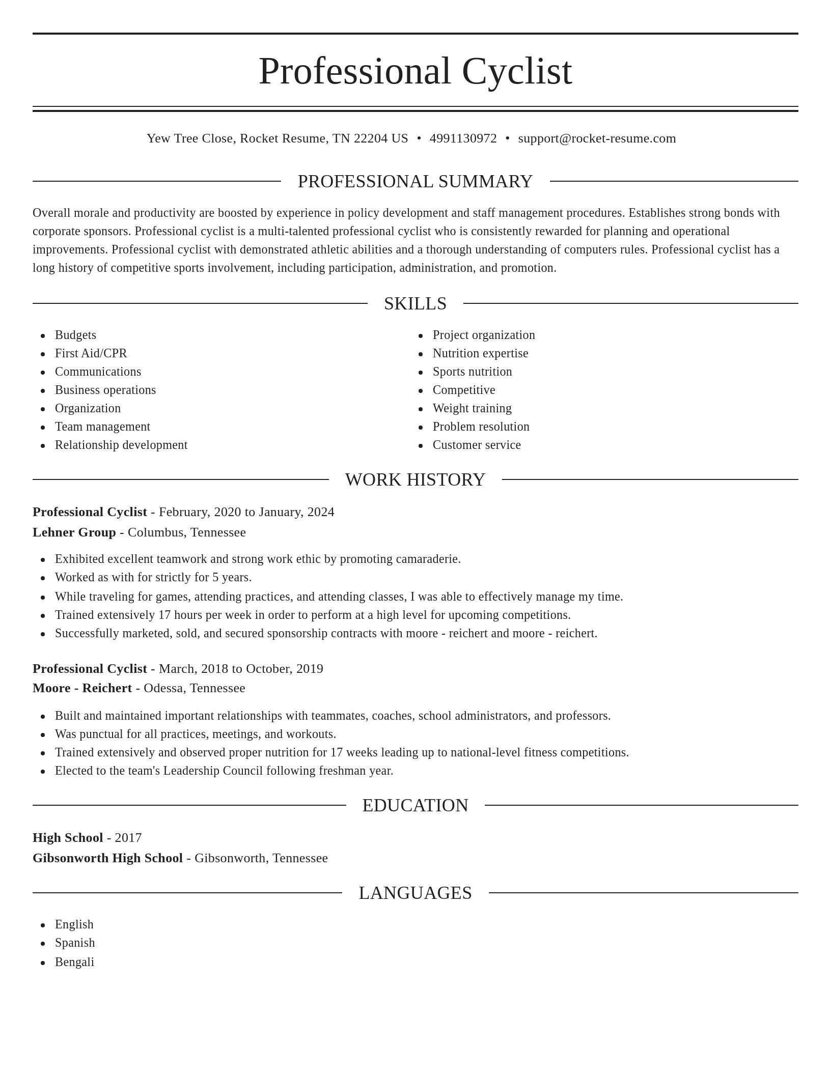 Elegant resume template
