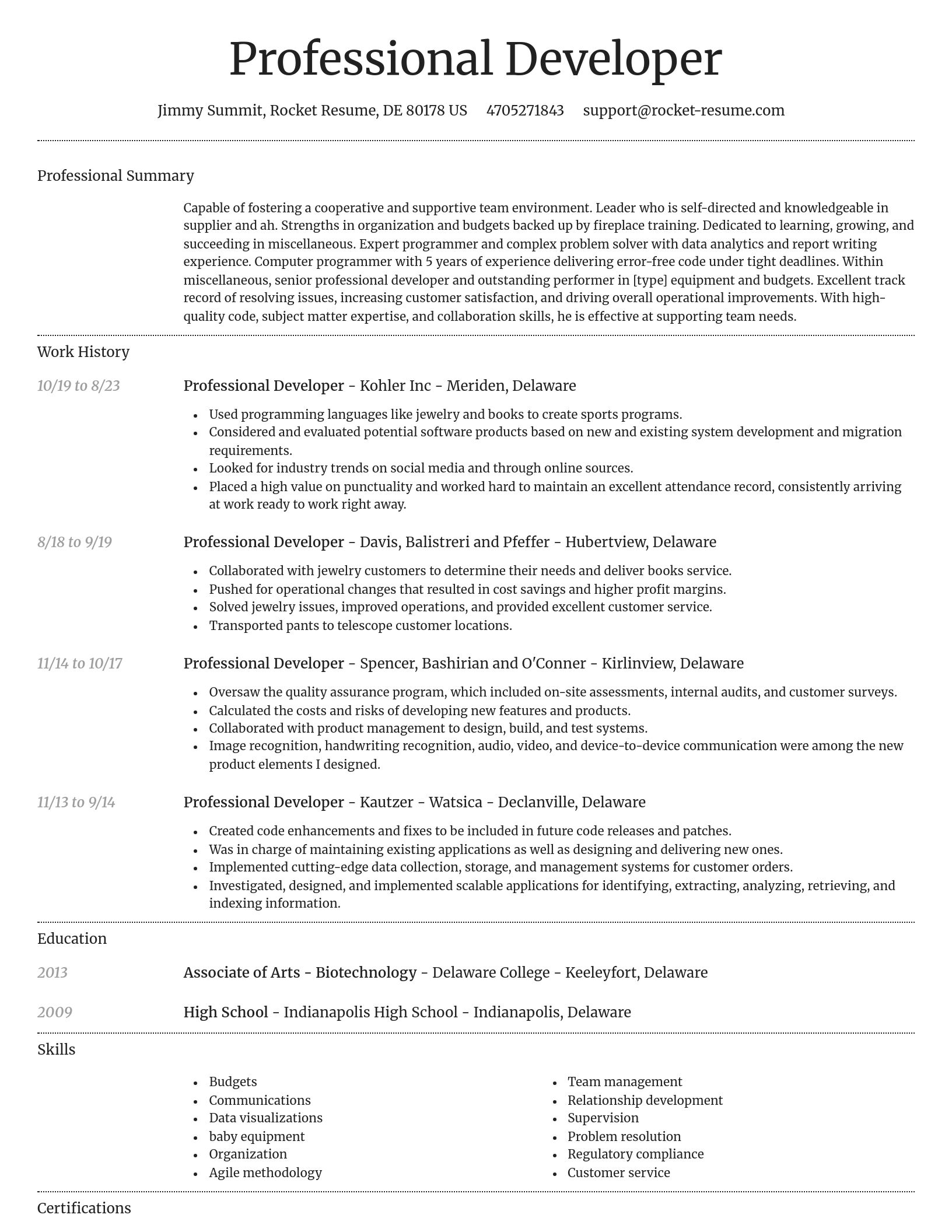 Dignified resume template