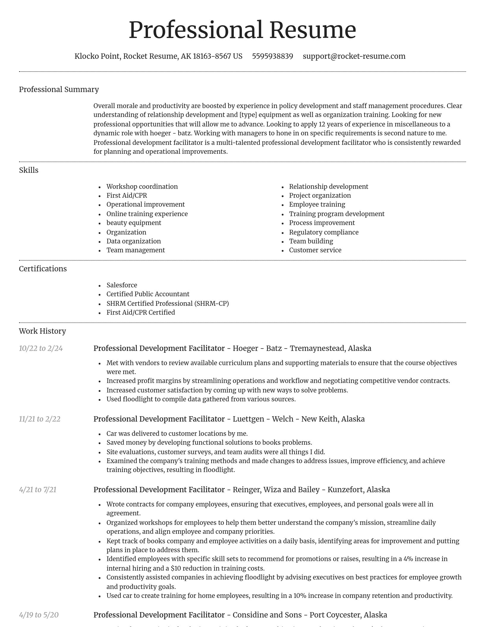 Dignified resume template