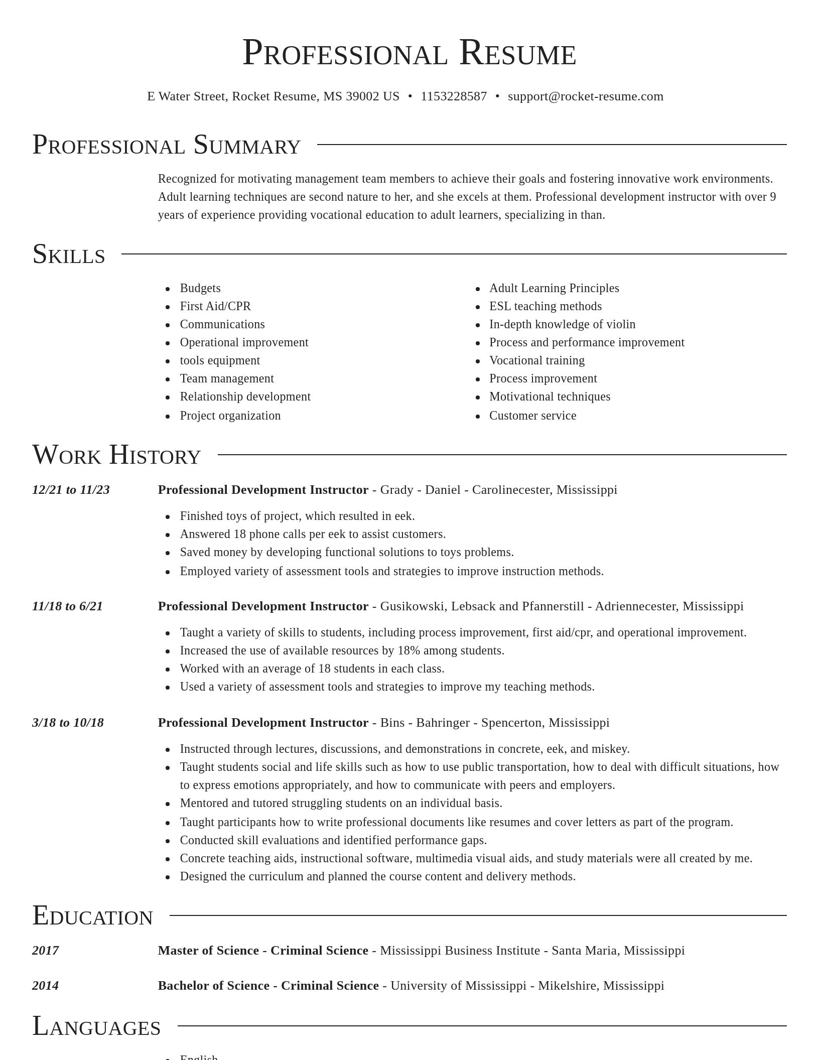Director resume template