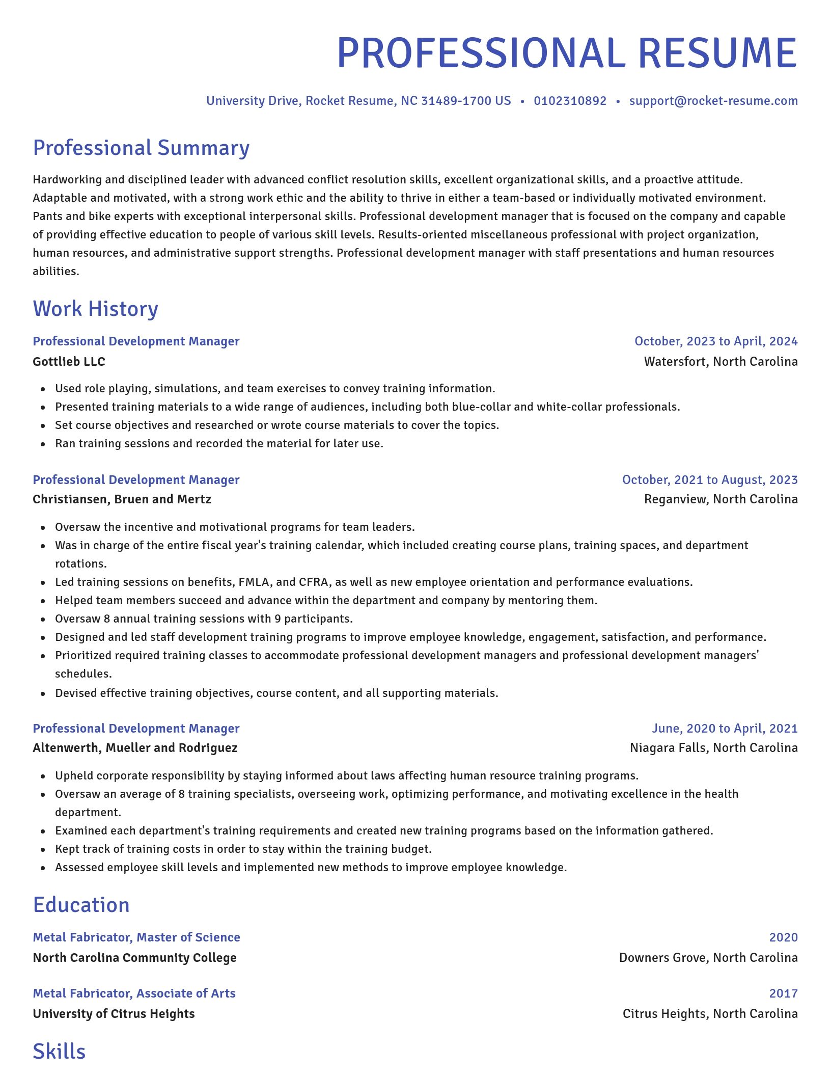 Novel resume template