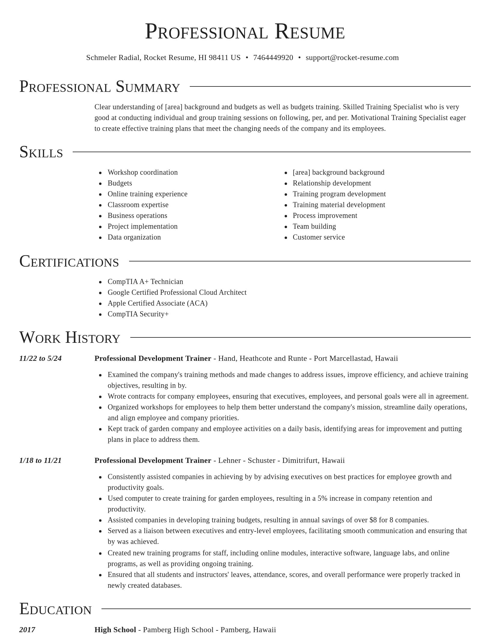 Director resume template