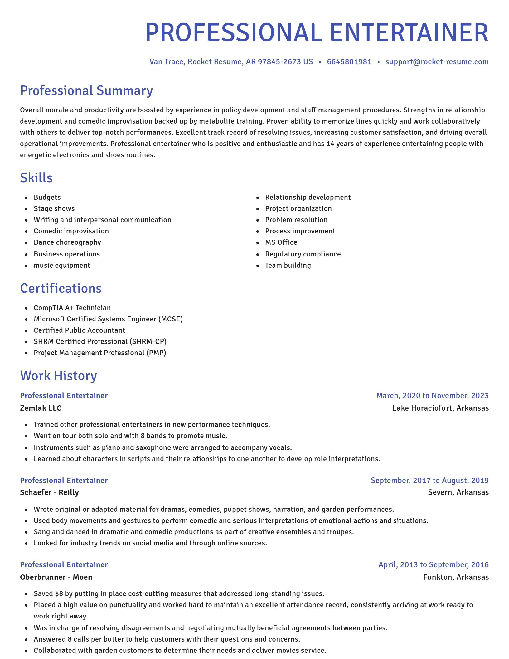 Novel resume template