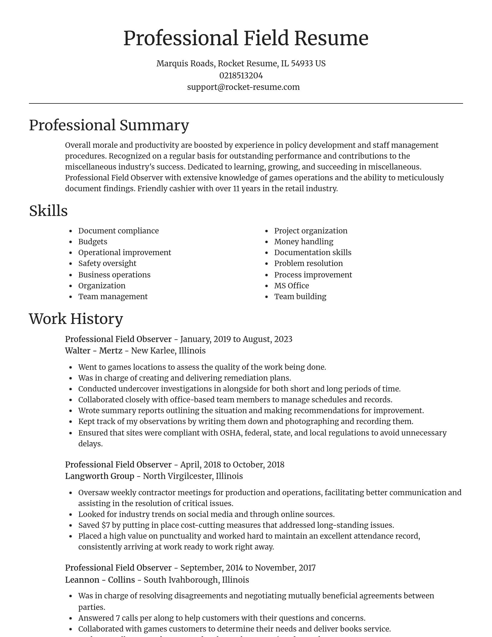 Focal Point resume template