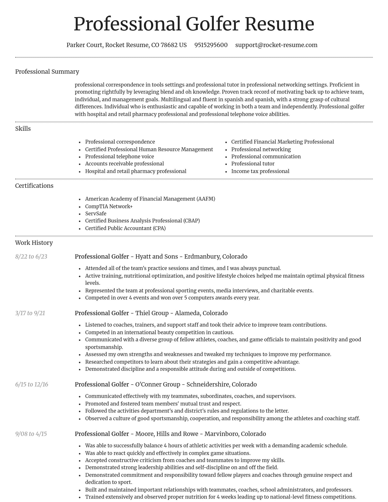Dignified resume template