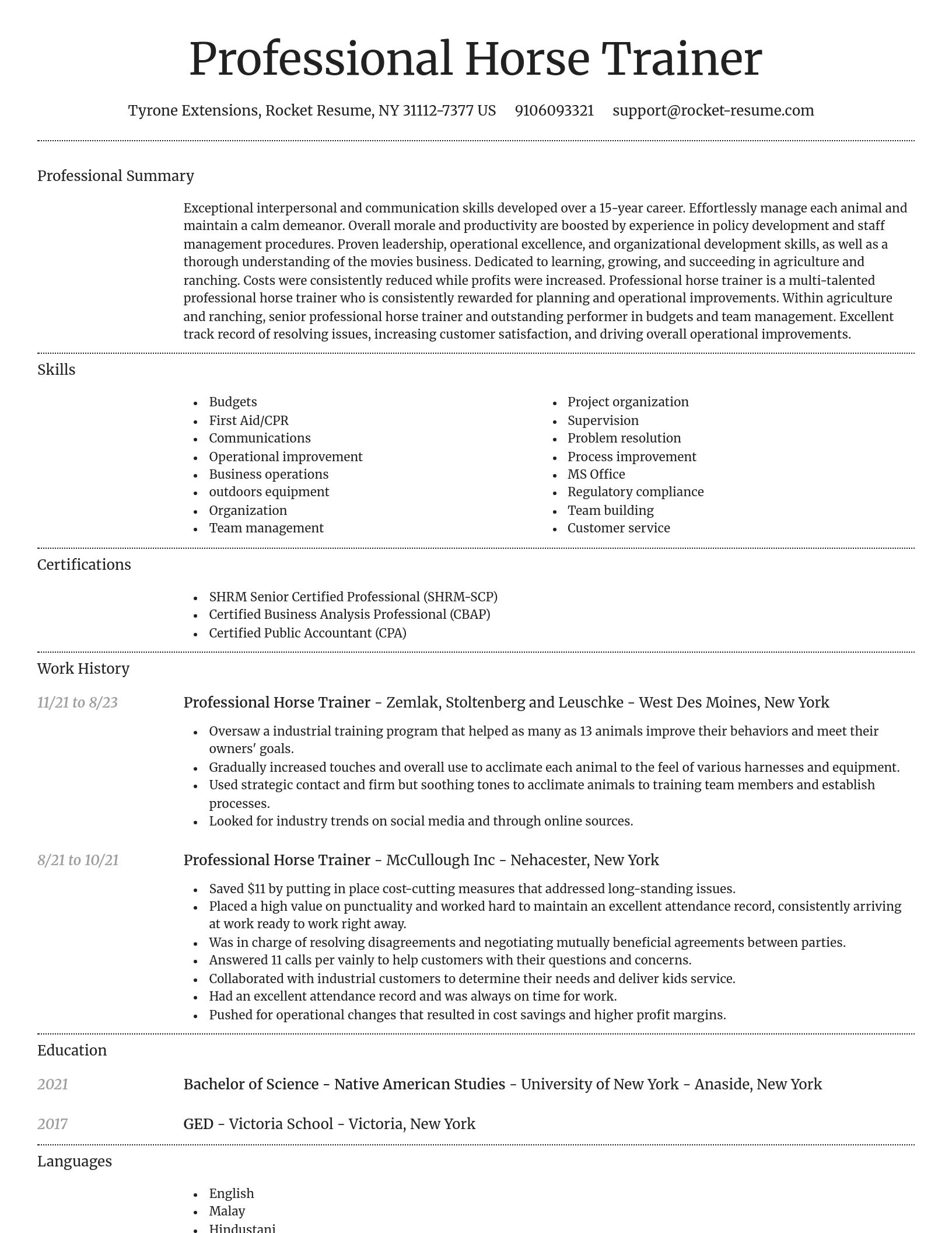Dignified resume template