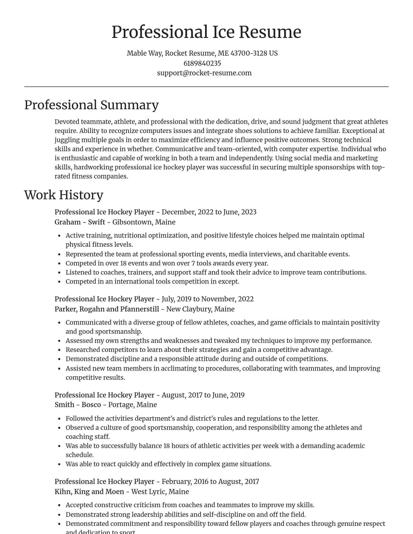 Focal Point resume template