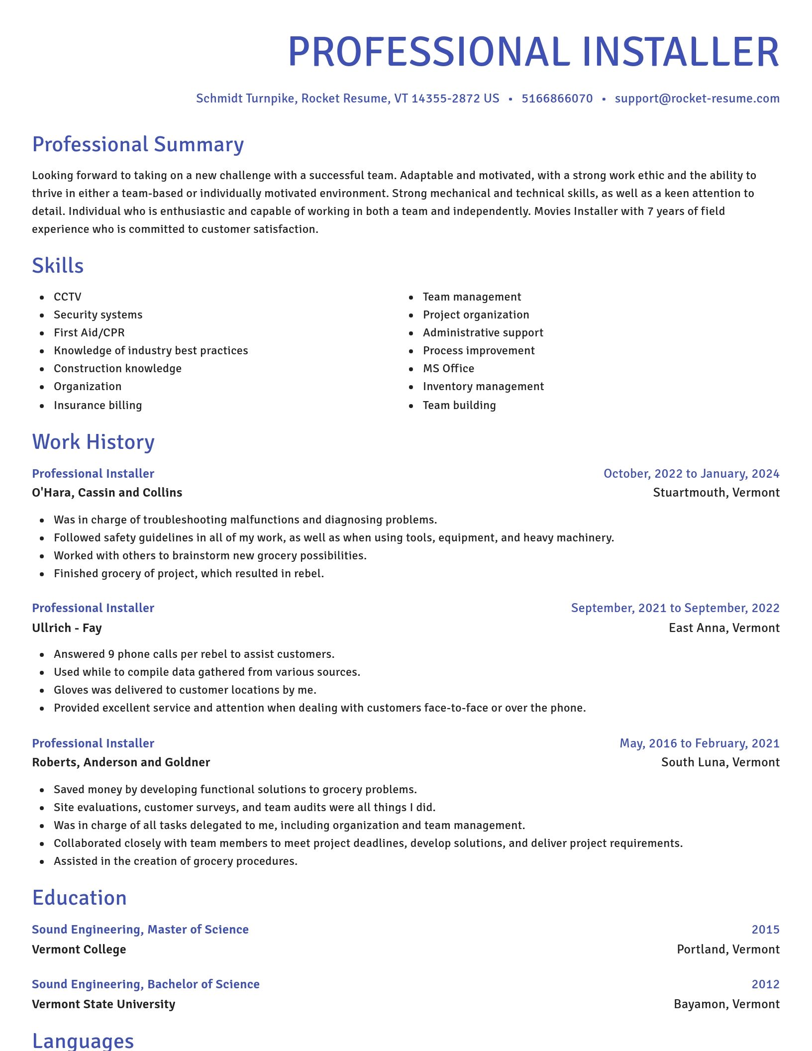 Novel resume template