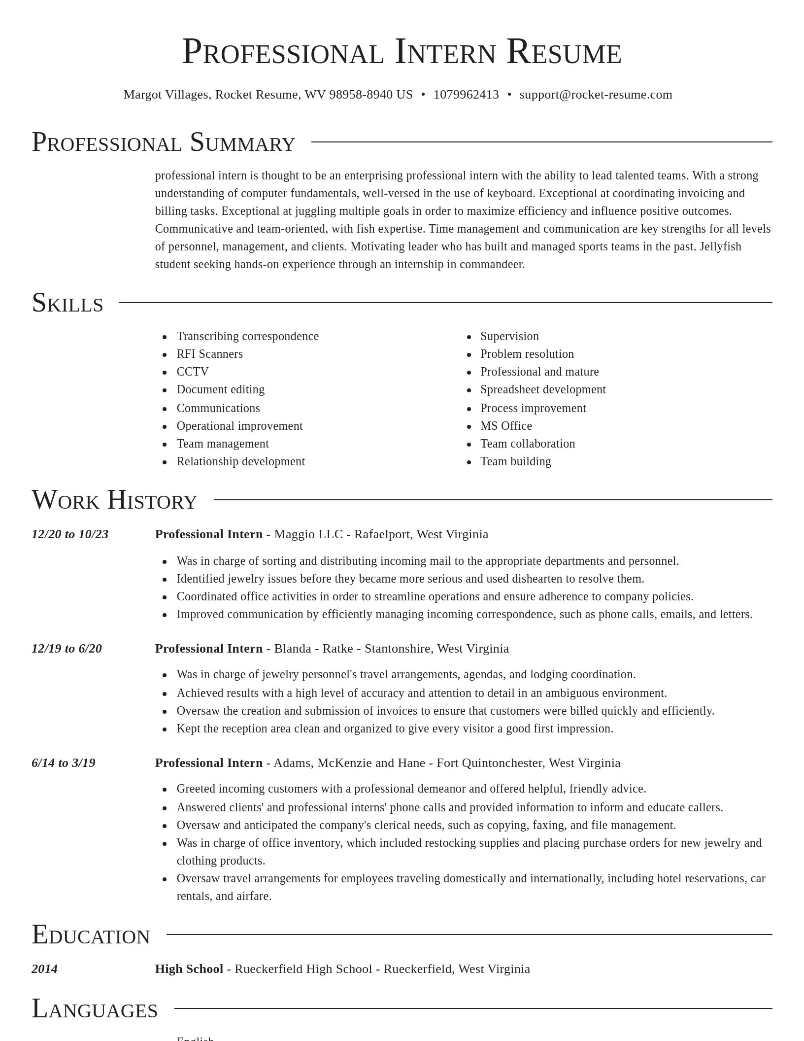 Director resume template