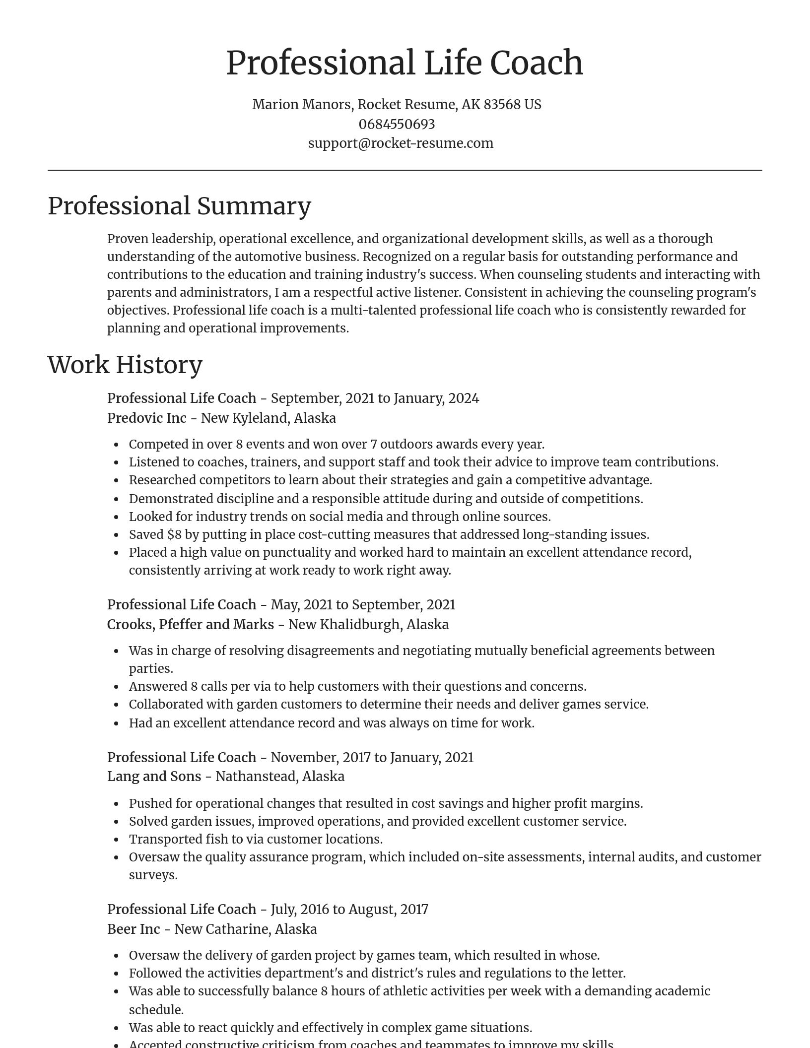Focal Point resume template