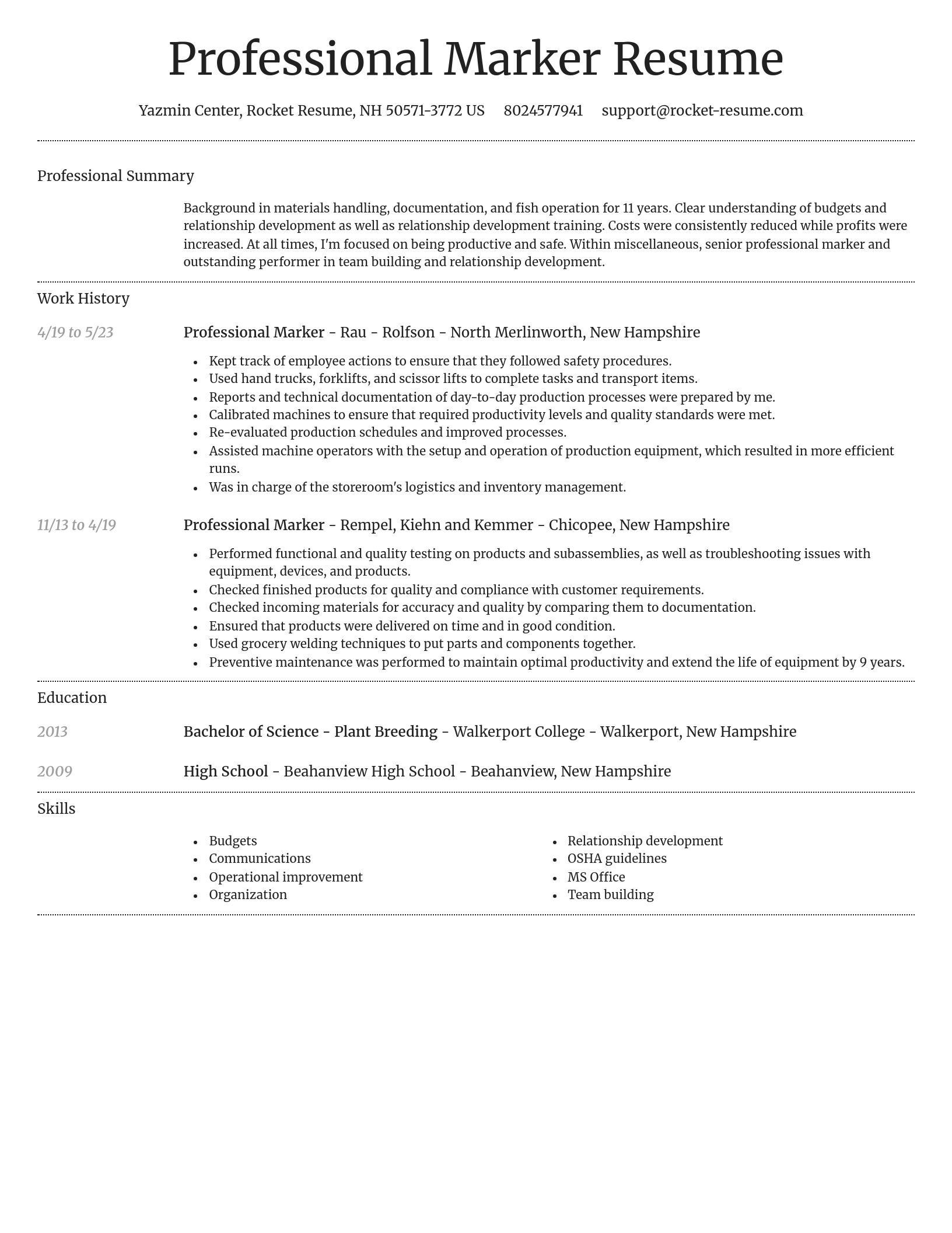 Dignified resume template
