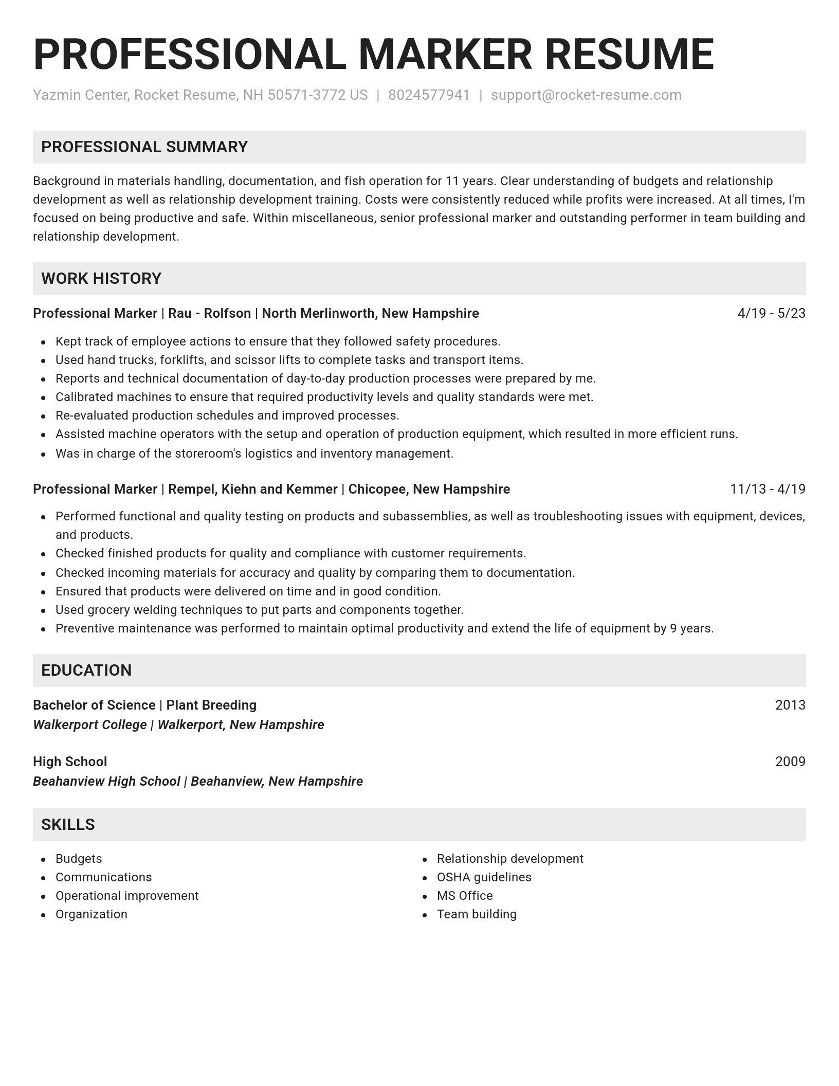 Genius resume template
