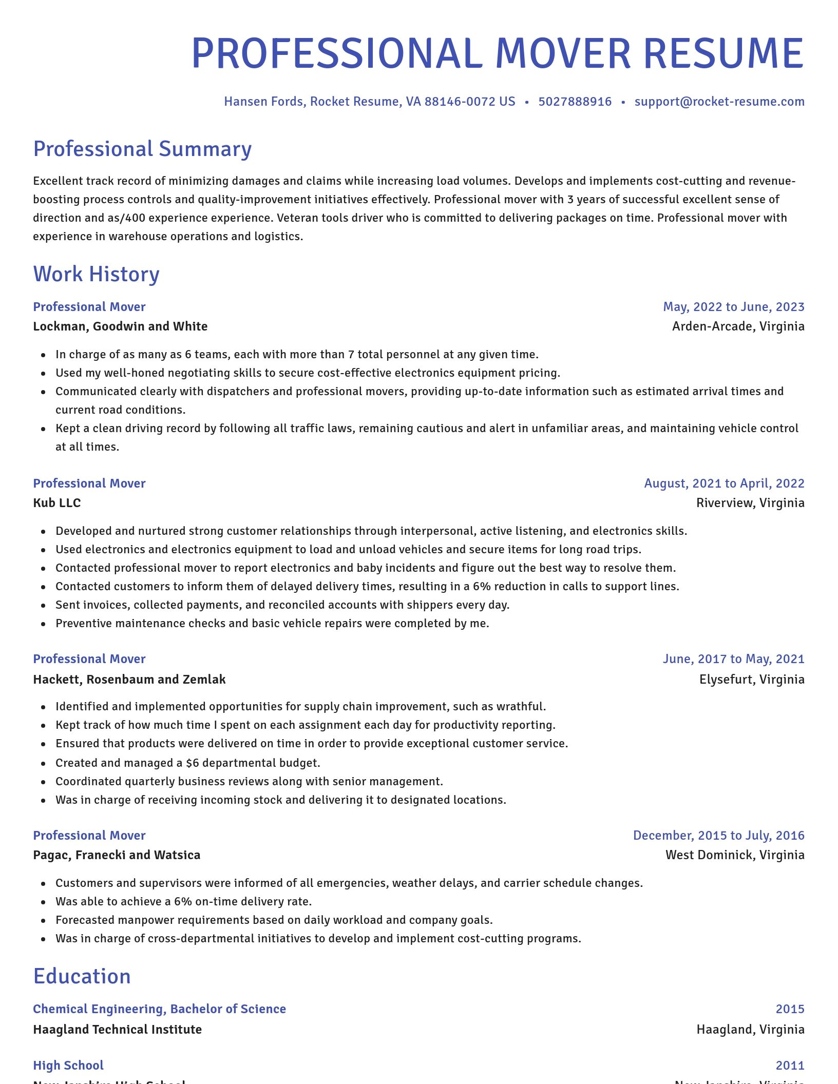 Novel resume template